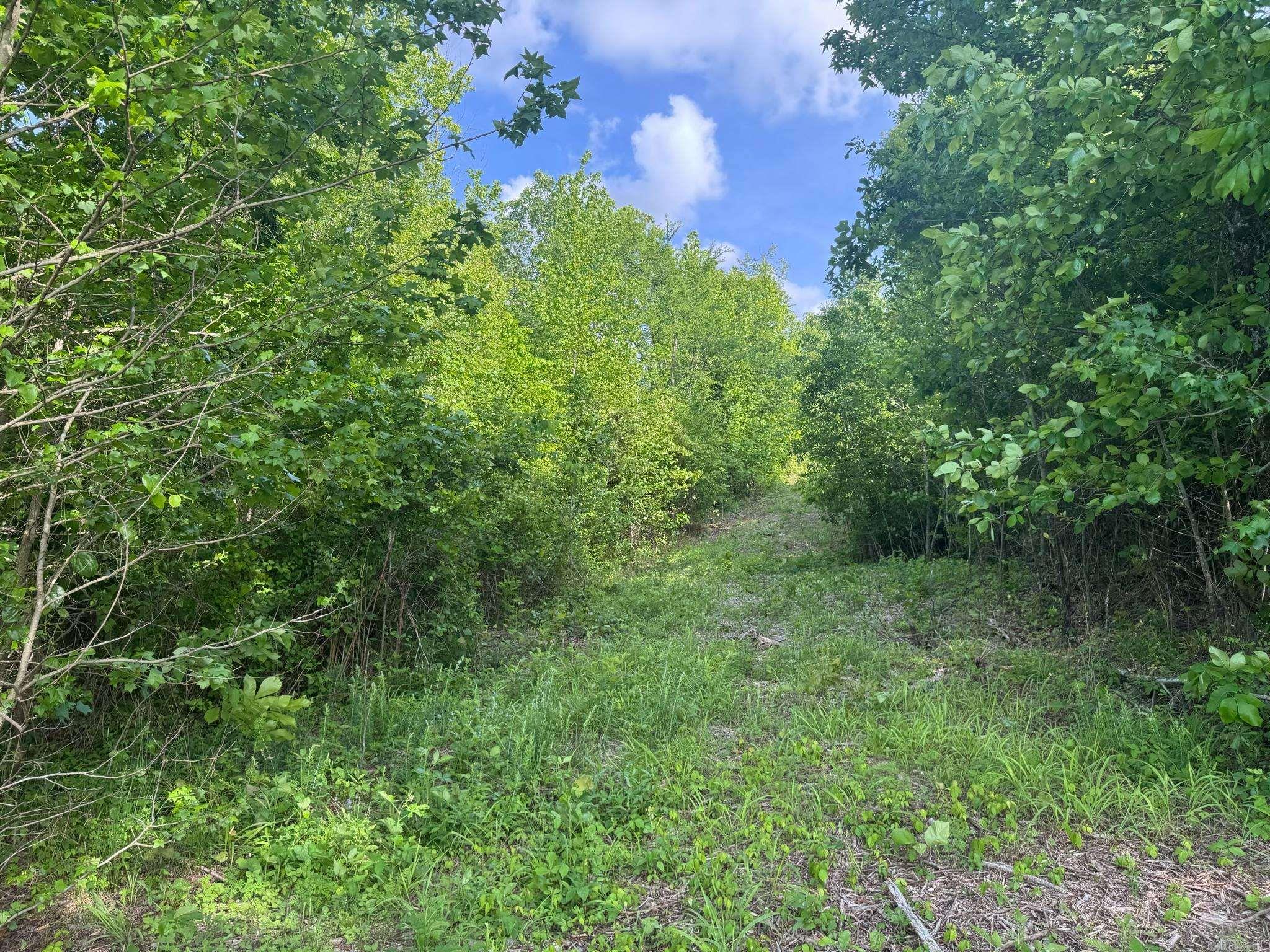 Tract 2  Jaymeson RD  Oden, AR