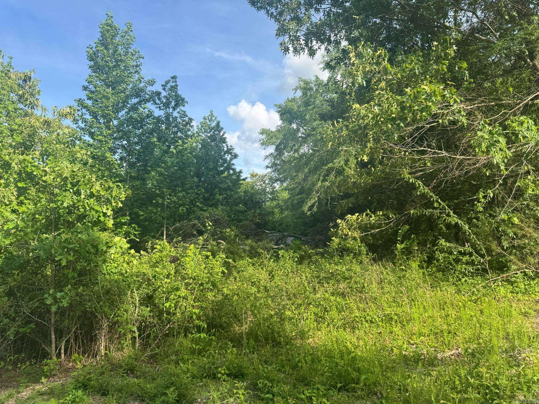 Tract 2  Jaymeson RD  Oden, AR