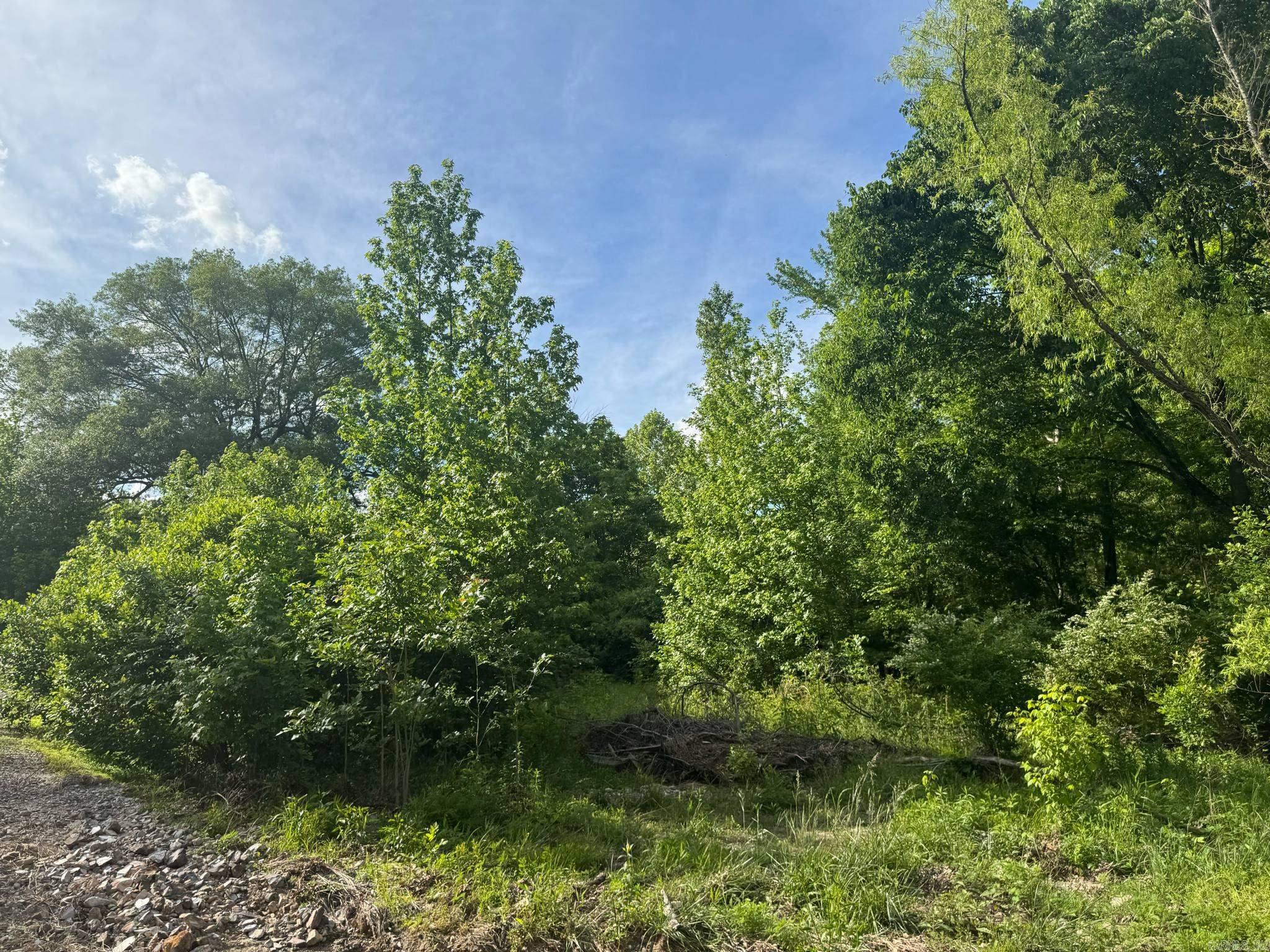 Tract 2  Jaymeson RD  Oden, AR