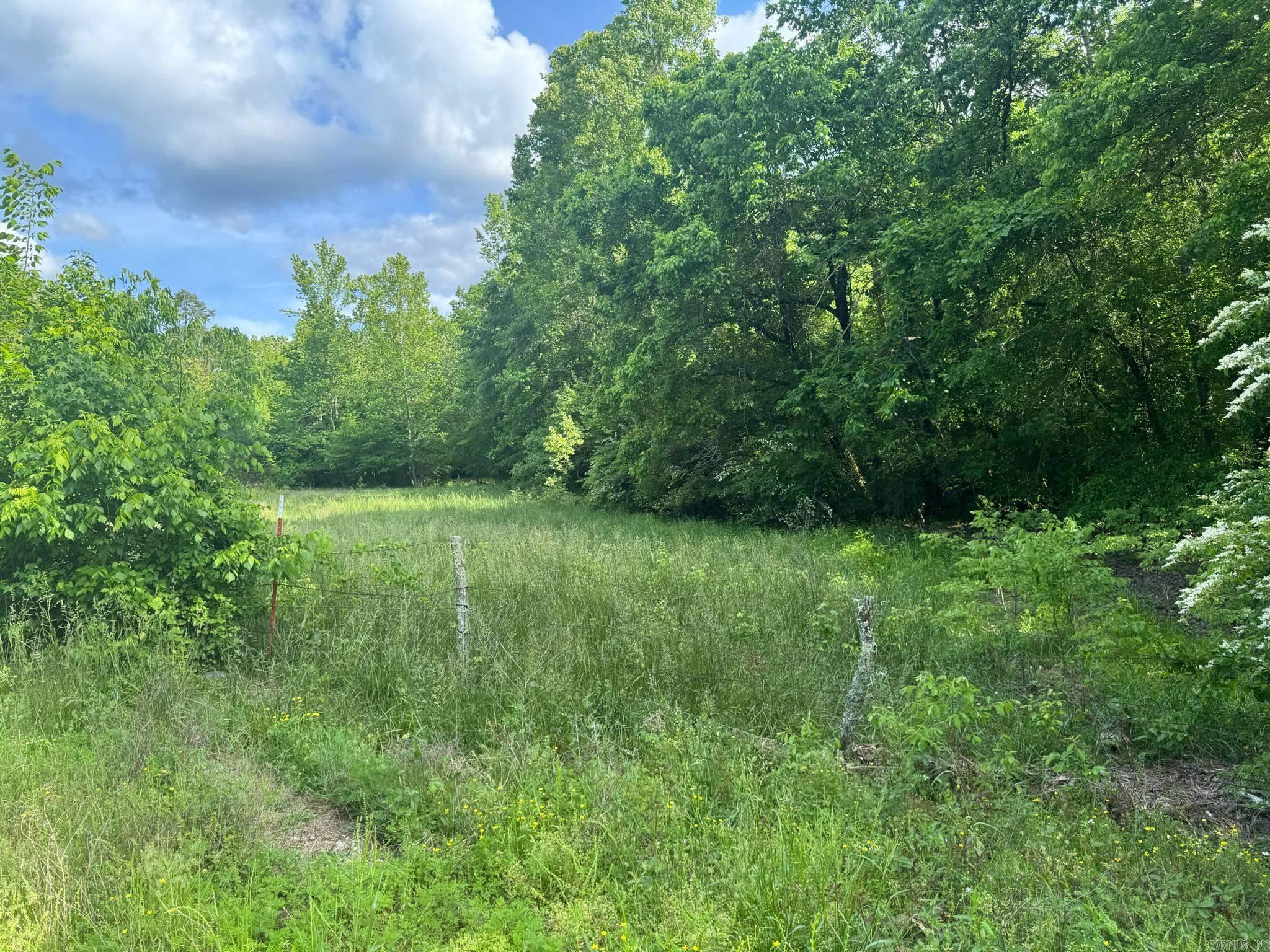 Tract 2  Jaymeson RD  Oden, AR