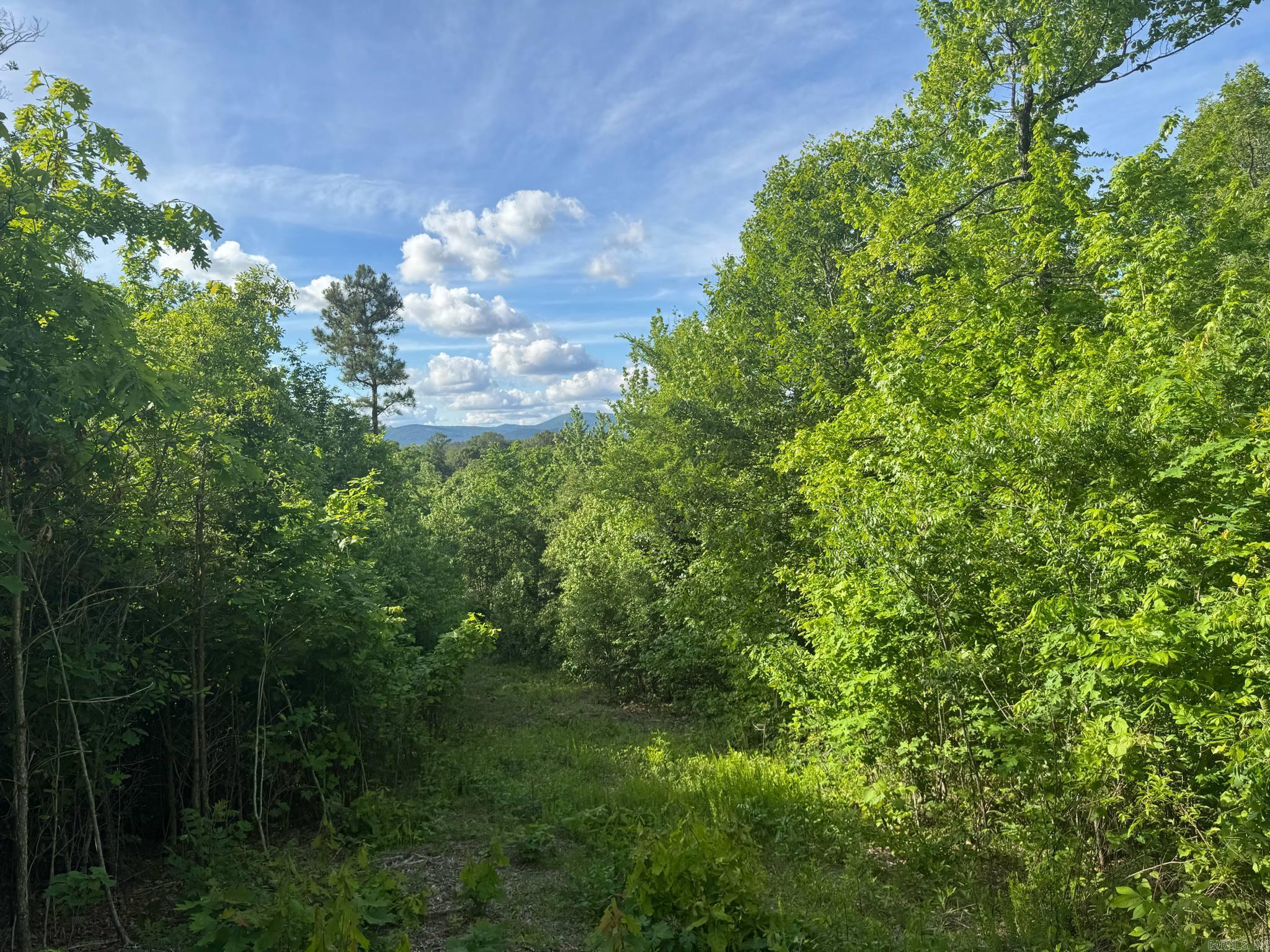 Tract 2  Jaymeson RD  Oden, AR