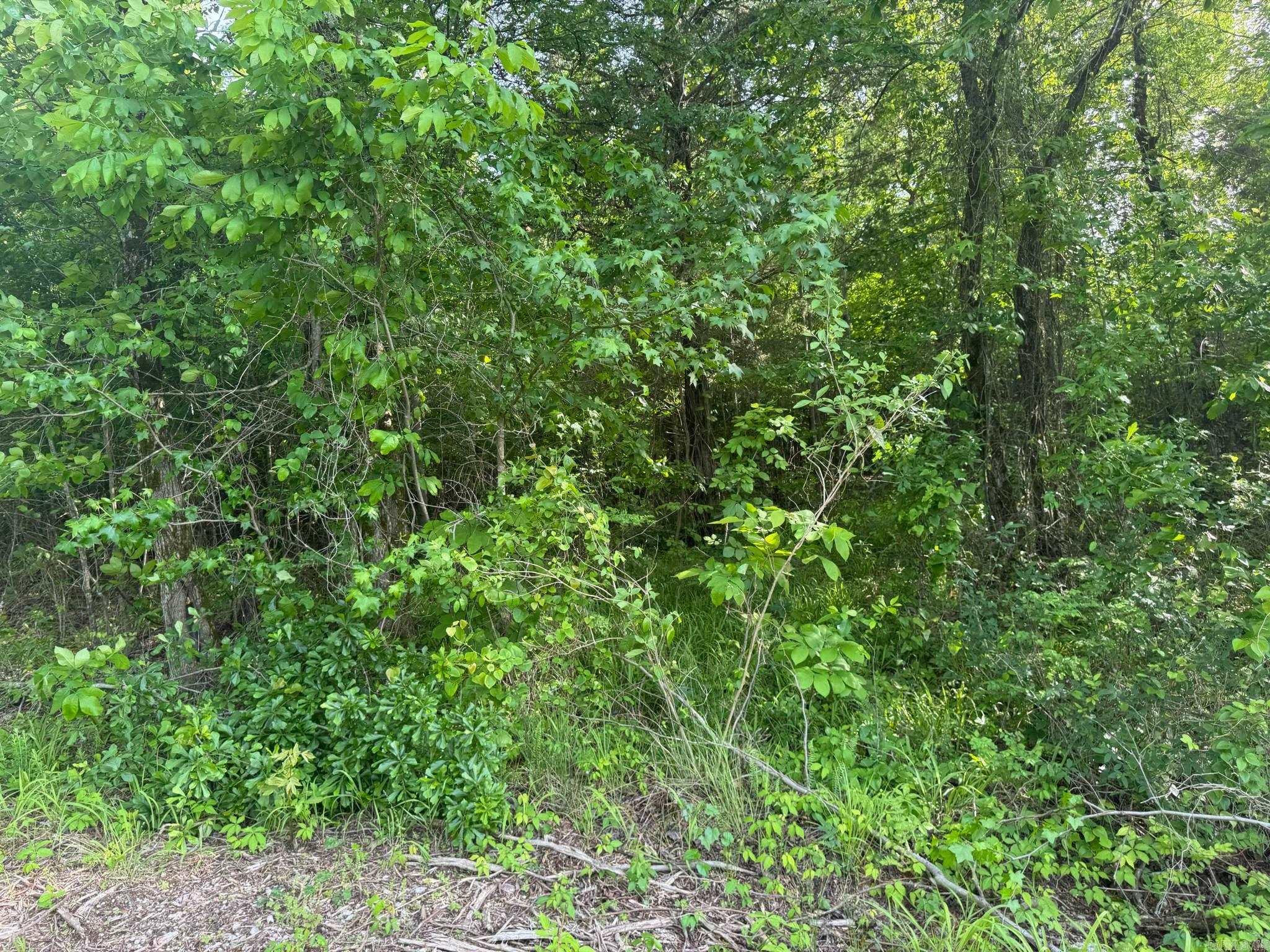Tract 2  Jaymeson RD  Oden, AR