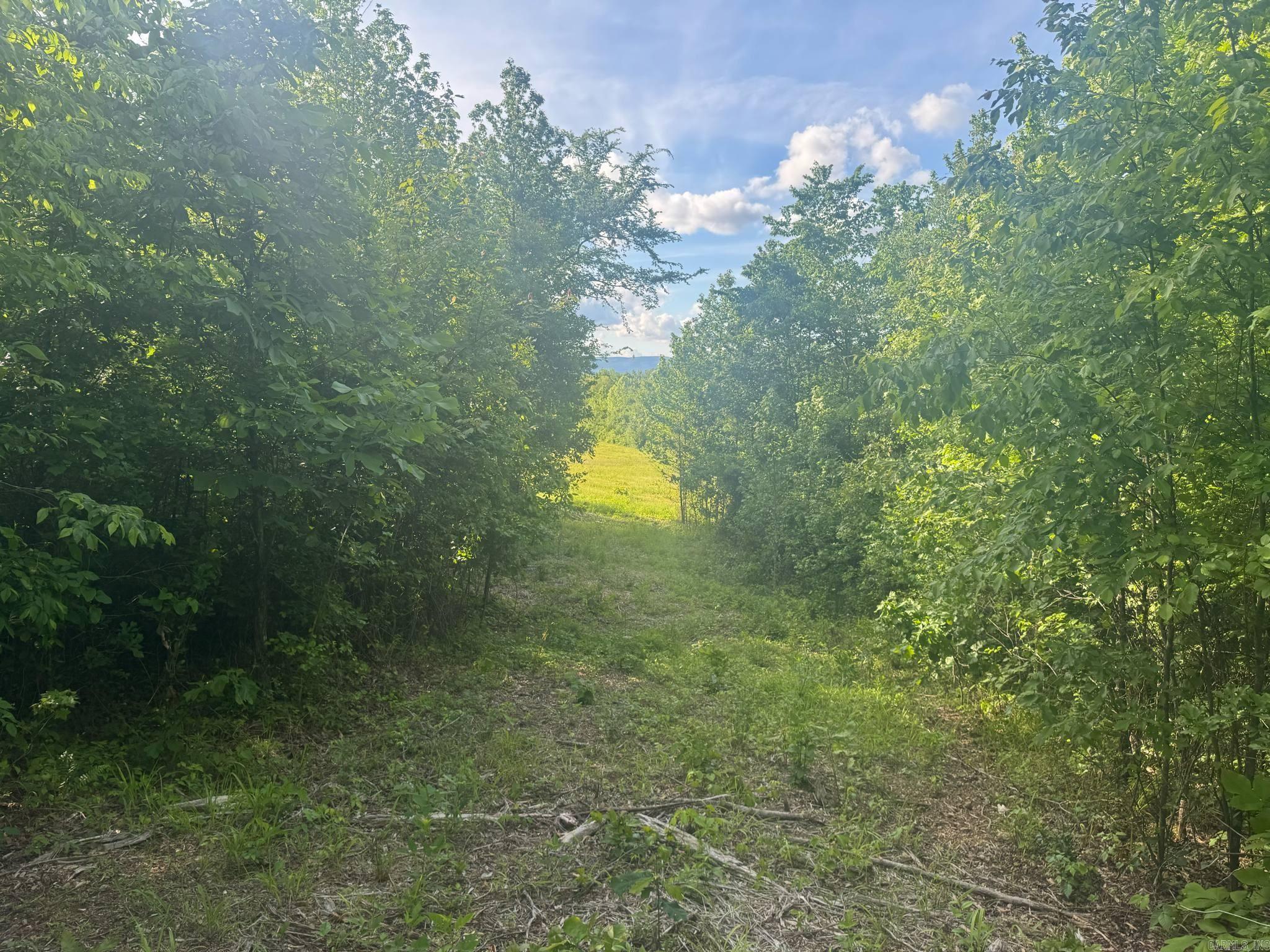 Tract 2  Jaymeson RD  Oden, AR