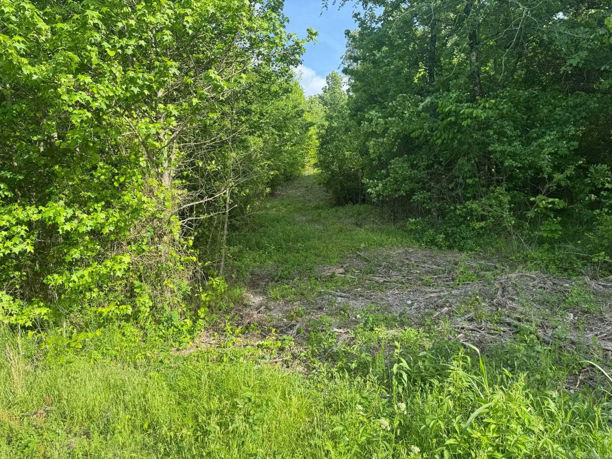 Tract 2  Jaymeson RD  Oden, AR