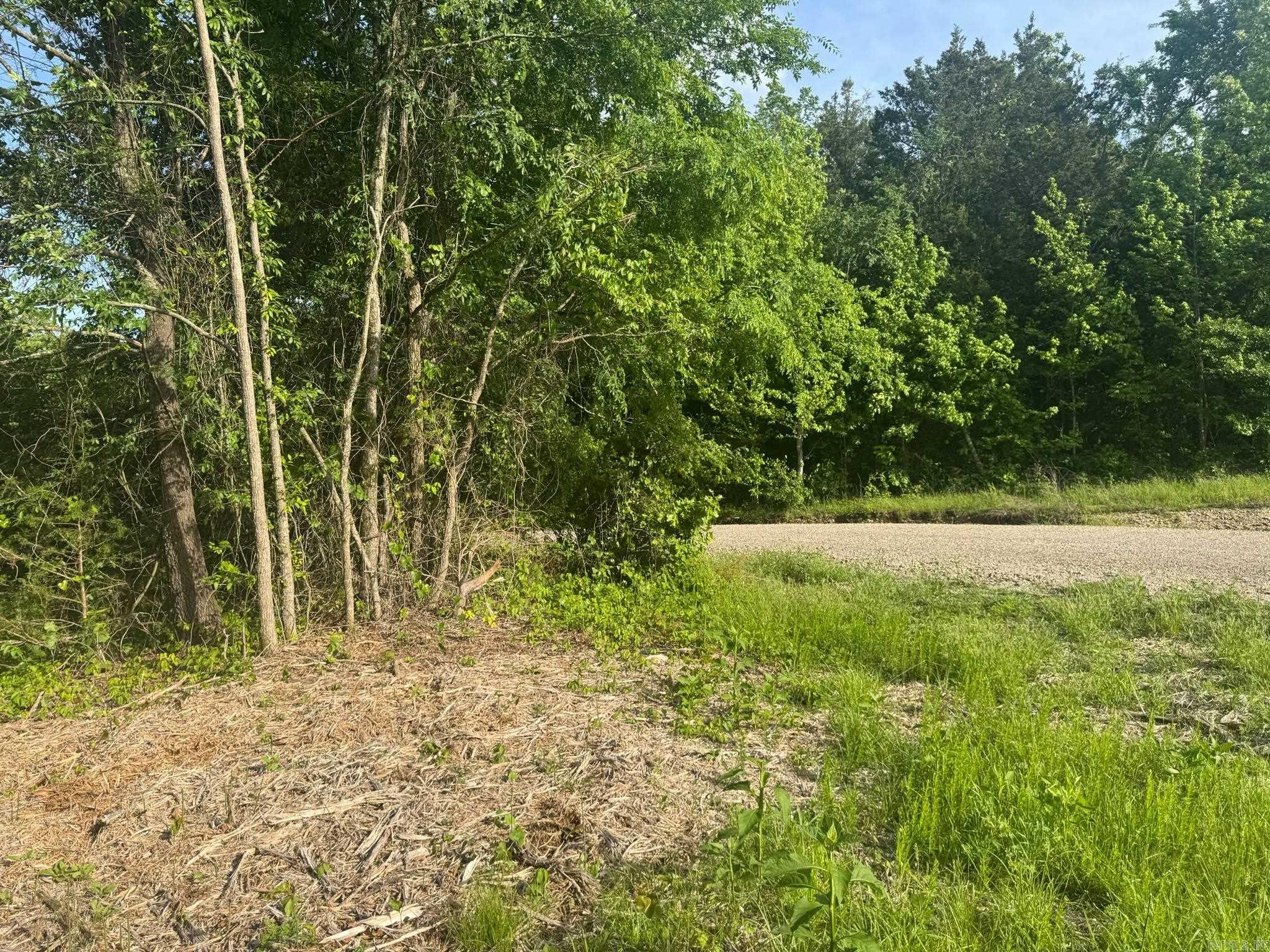 Tract 2  Jaymeson RD  Oden, AR