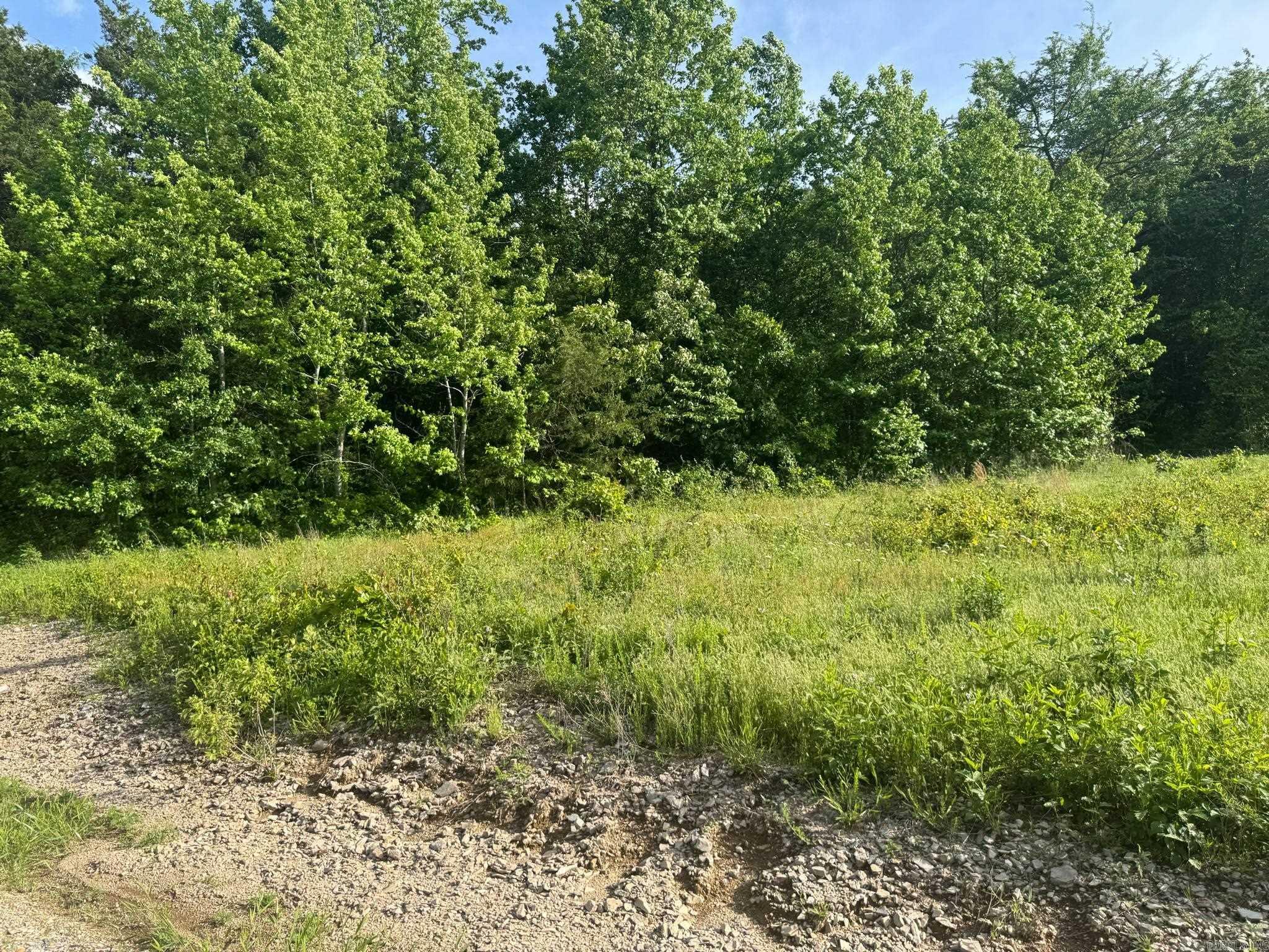 Tract 2  Jaymeson RD  Oden, AR