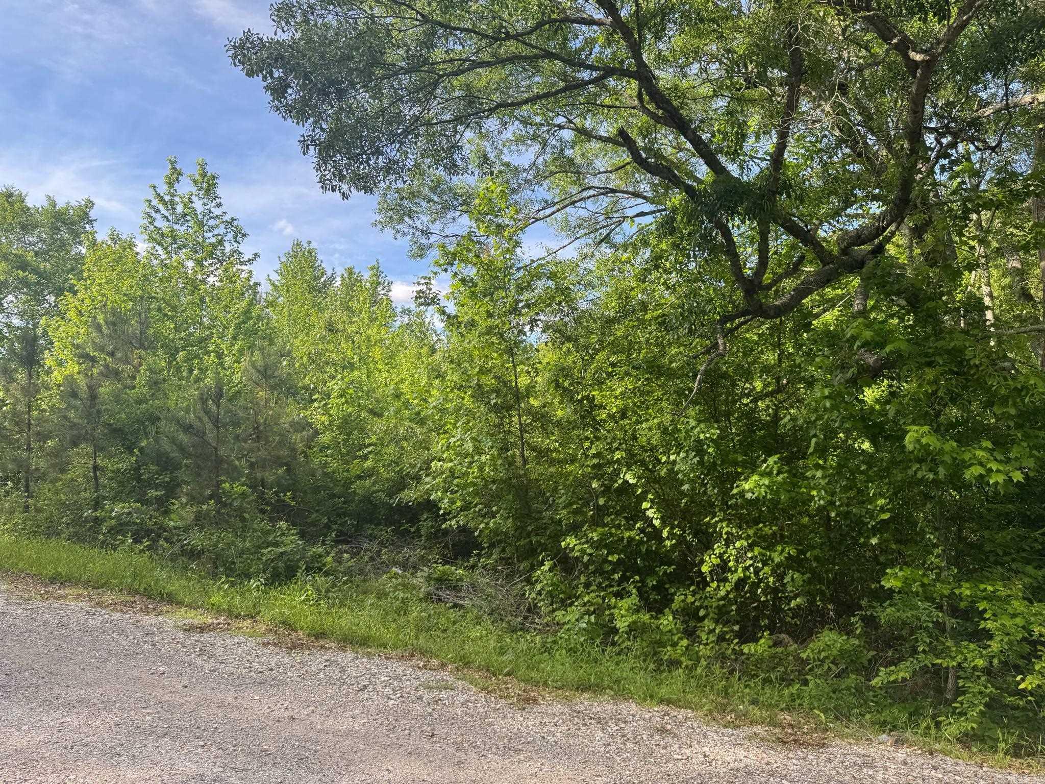 Tract 2  Jaymeson RD  Oden, AR
