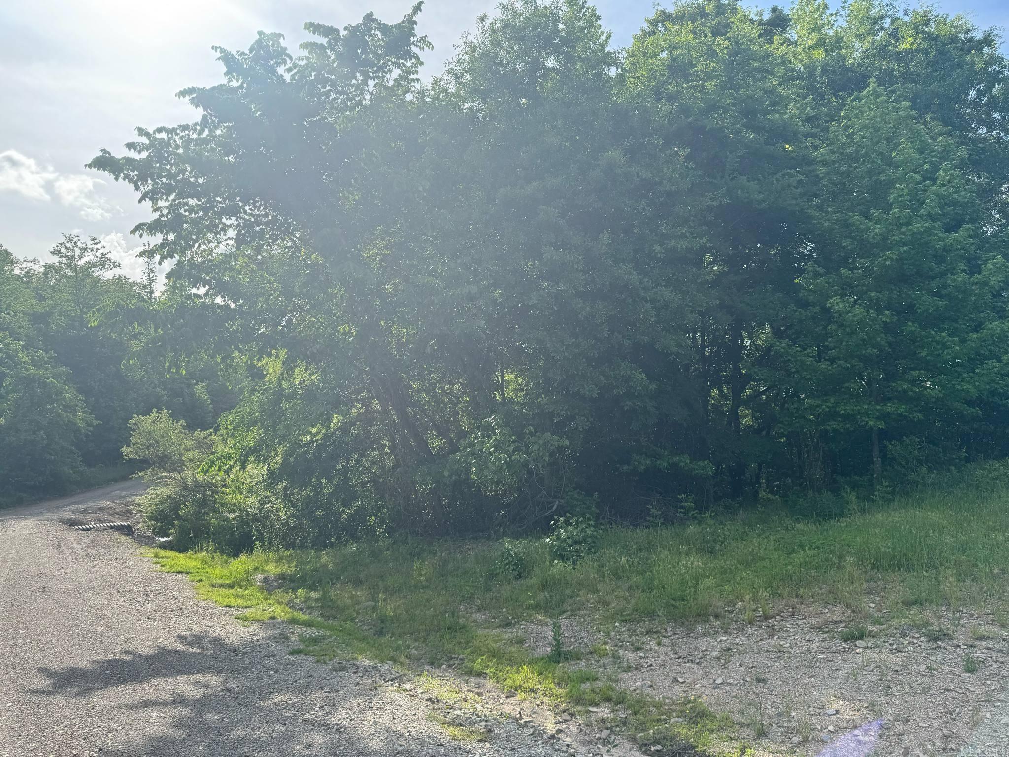 Tract 2  Jaymeson RD  Oden, AR
