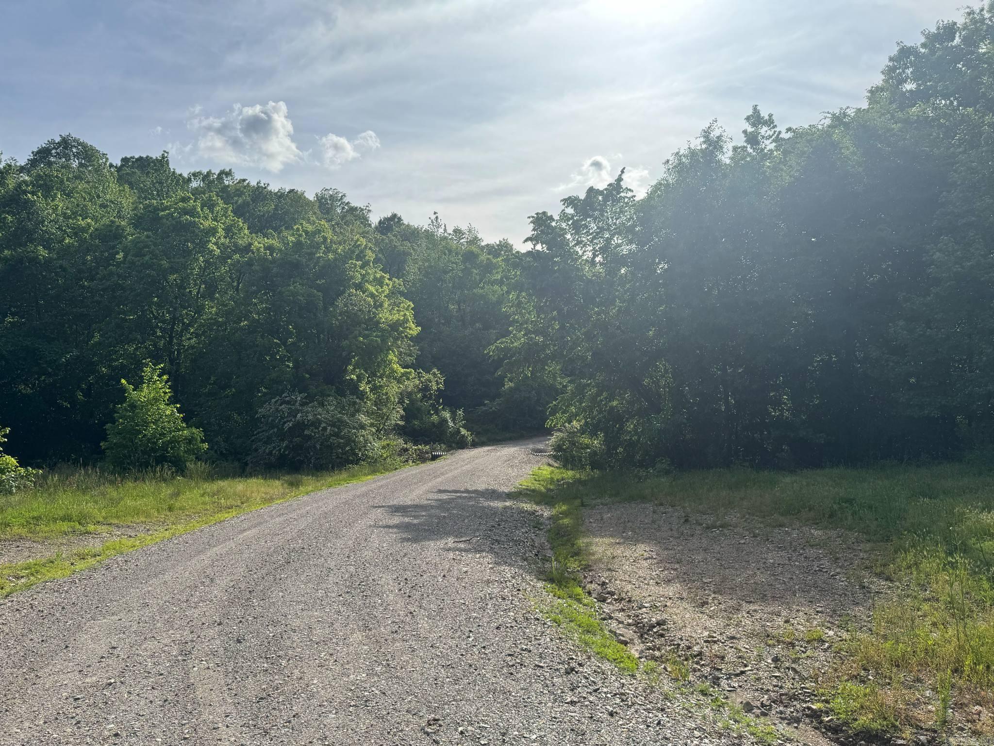 Tract 2  Jaymeson RD  Oden, AR