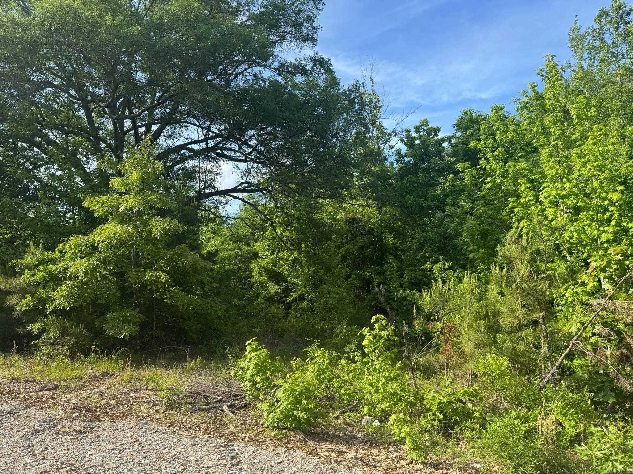 Tract 2  Jaymeson RD  Oden, AR