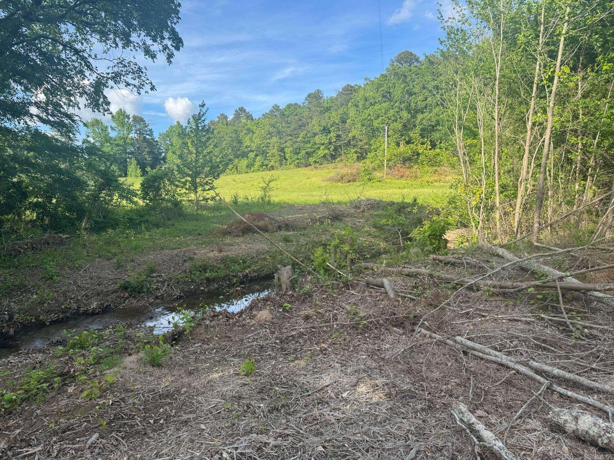 Tract 2  Jaymeson RD  Oden, AR