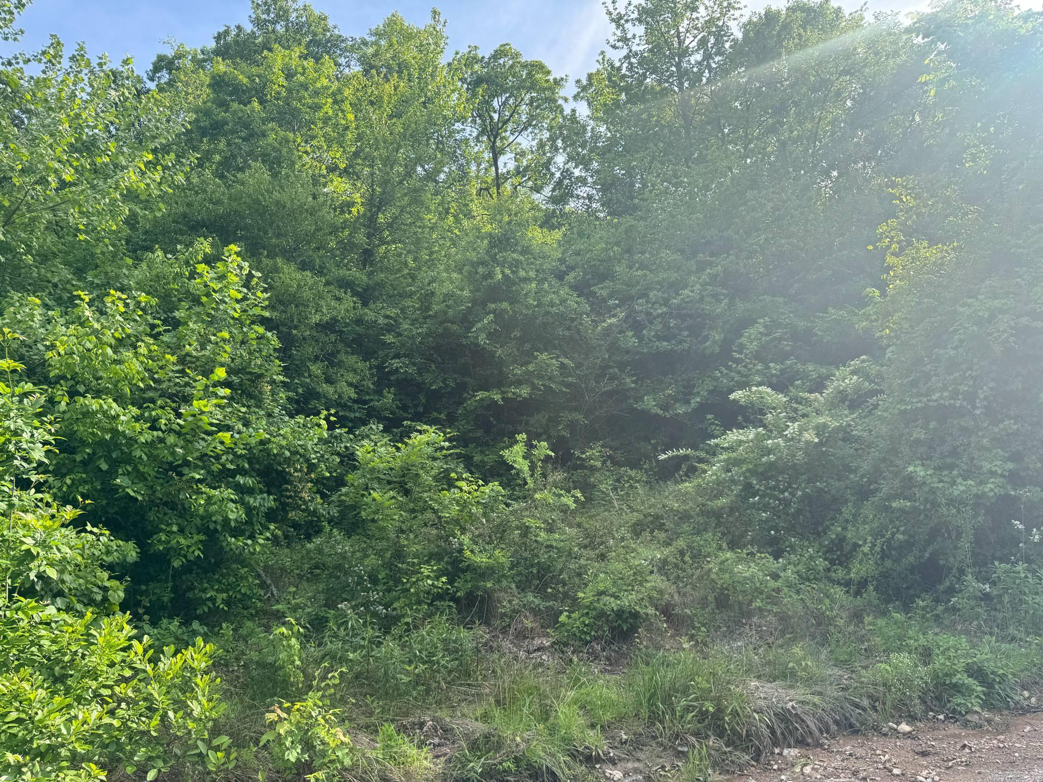 Tract 2  Jaymeson RD  Oden, AR