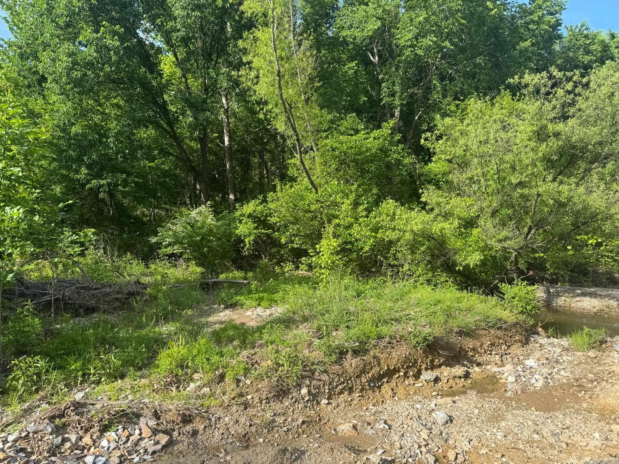 Tract 2  Jaymeson RD  Oden, AR