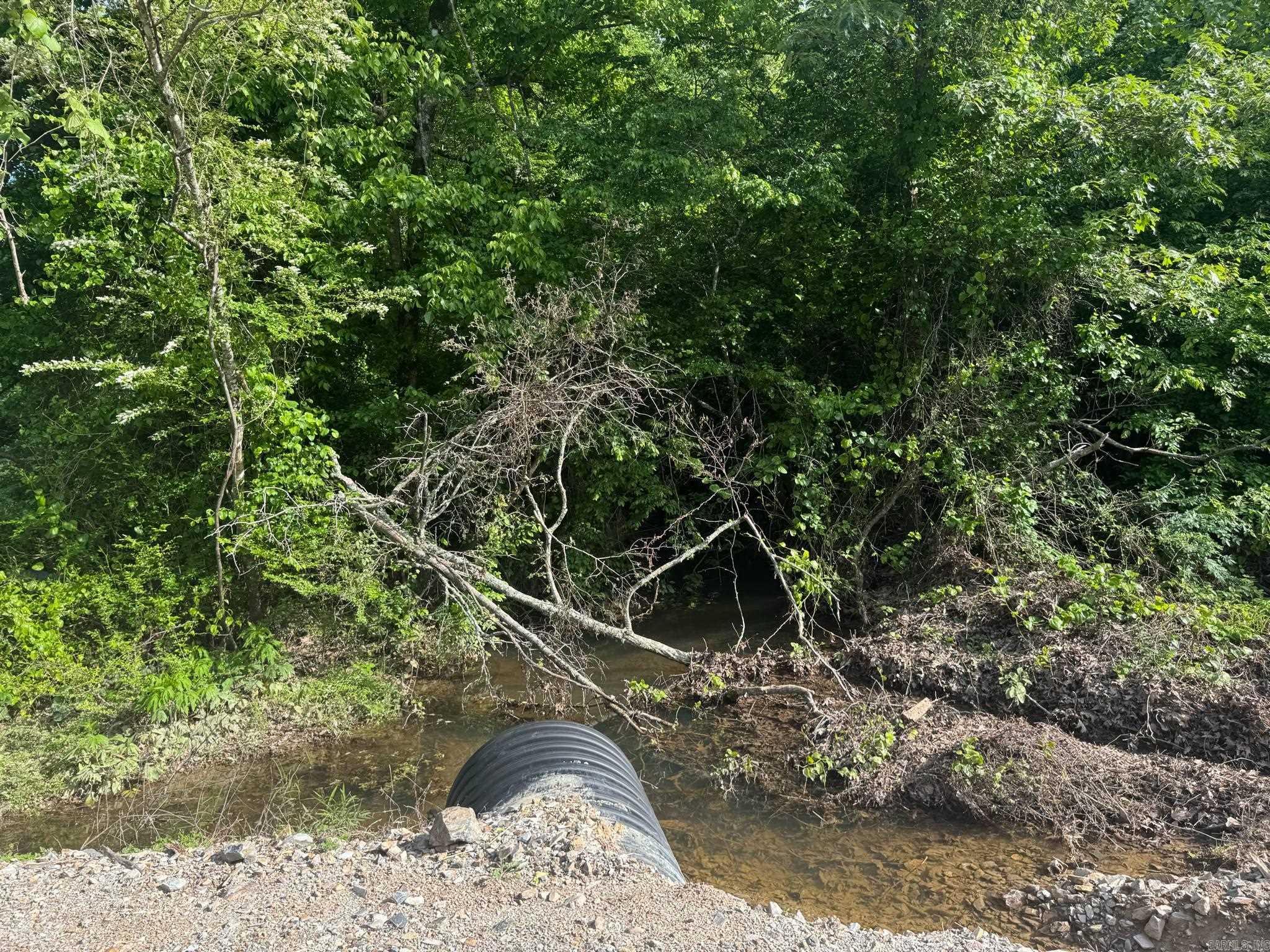 Tract 2  Jaymeson RD  Oden, AR