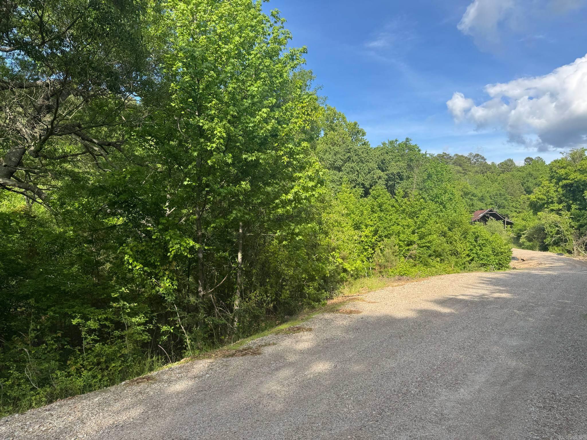 Tract 2  Jaymeson RD  Oden, AR