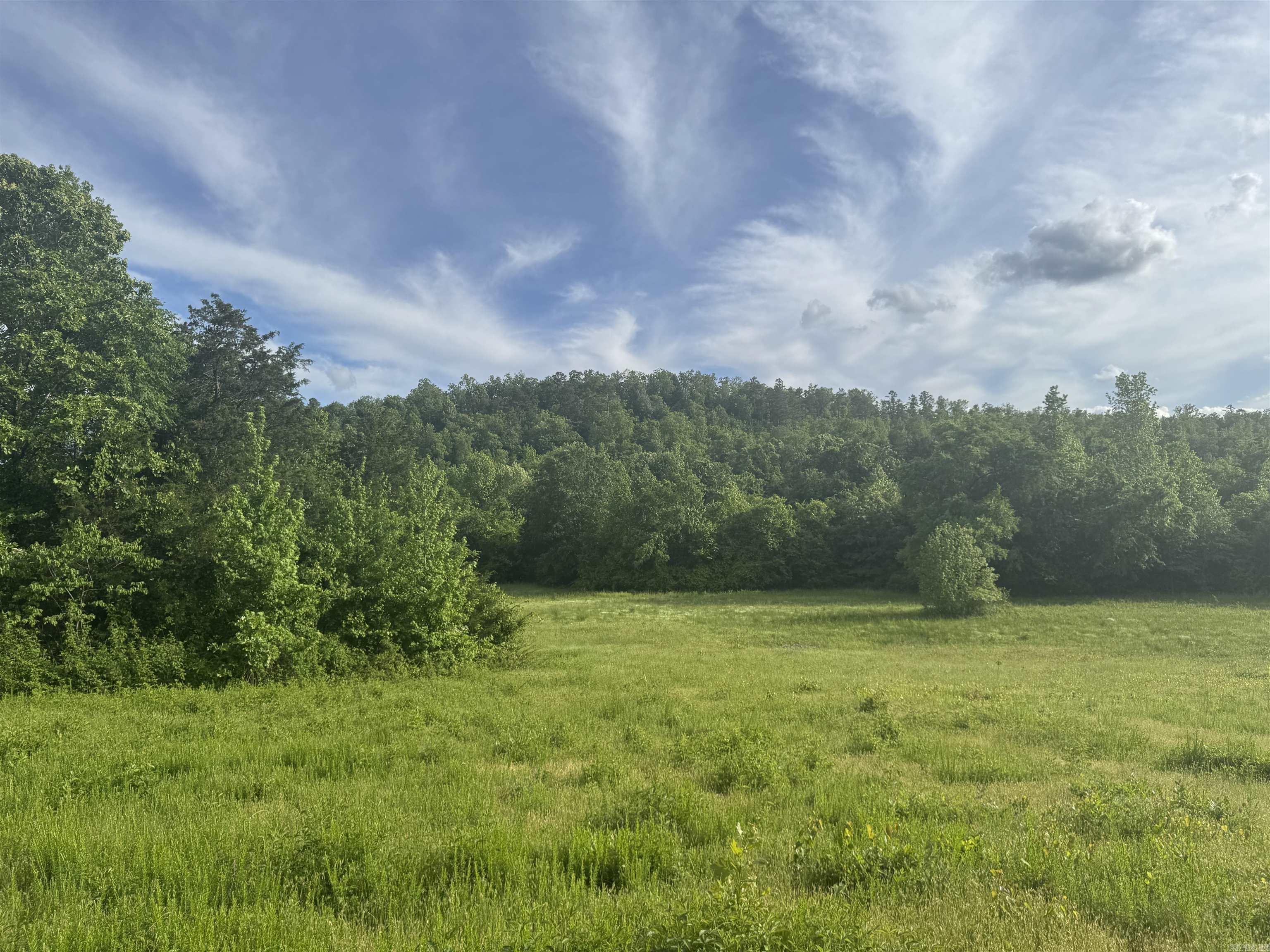 Tract 3  Jaymeson RD  Oden, AR