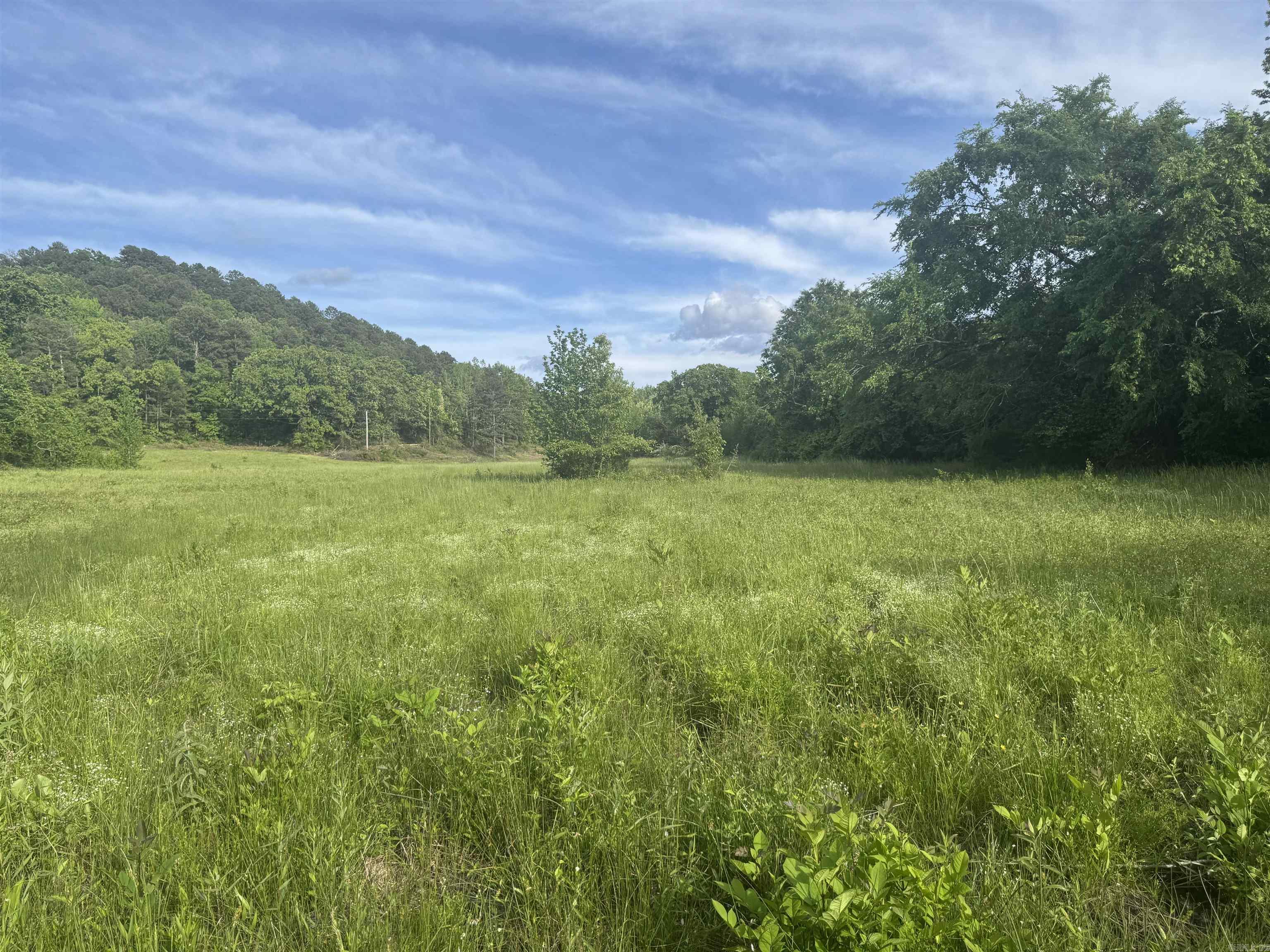 Tract 3  Jaymeson RD  Oden, AR