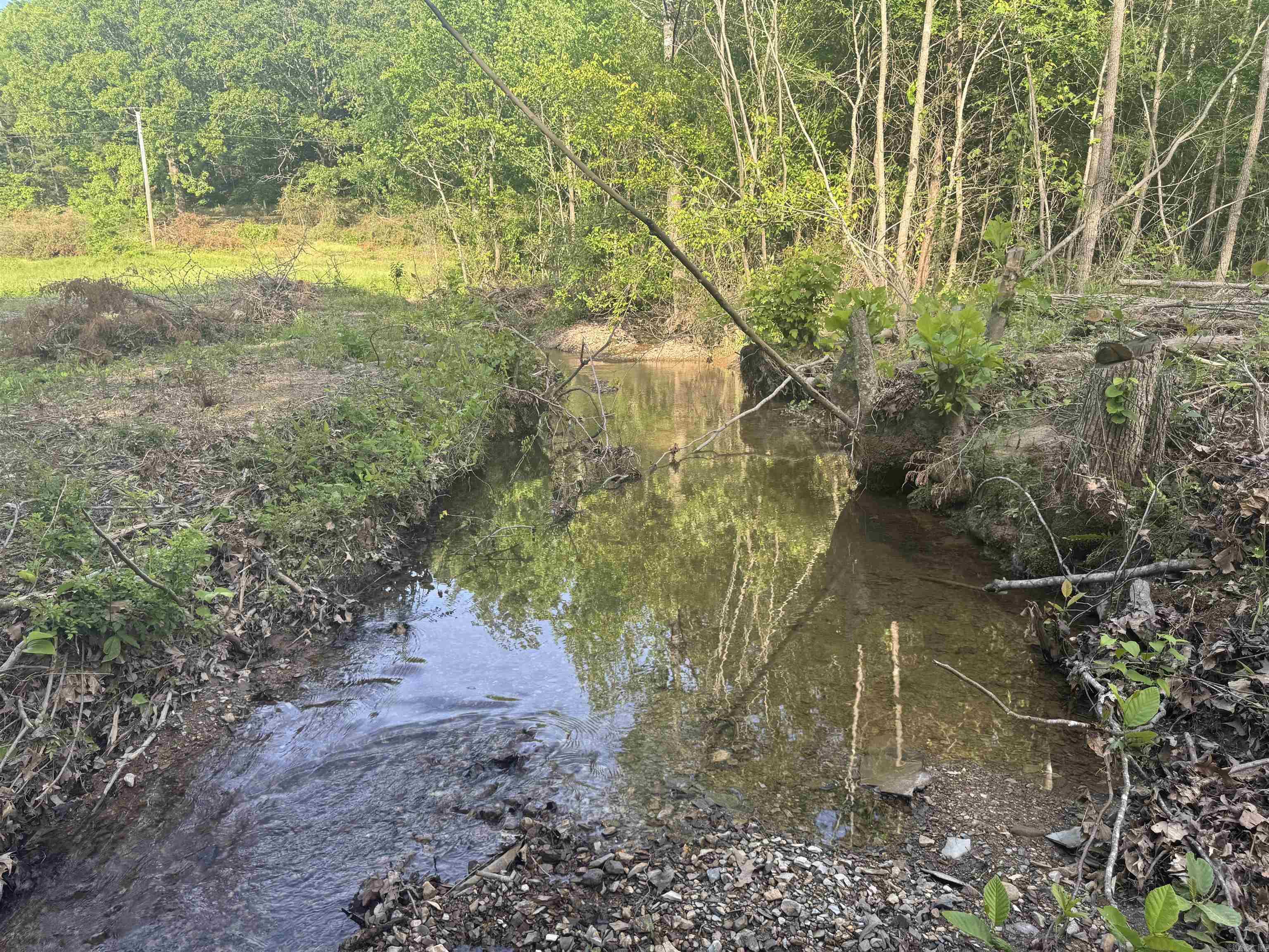 Tract 3  Jaymeson RD  Oden, AR