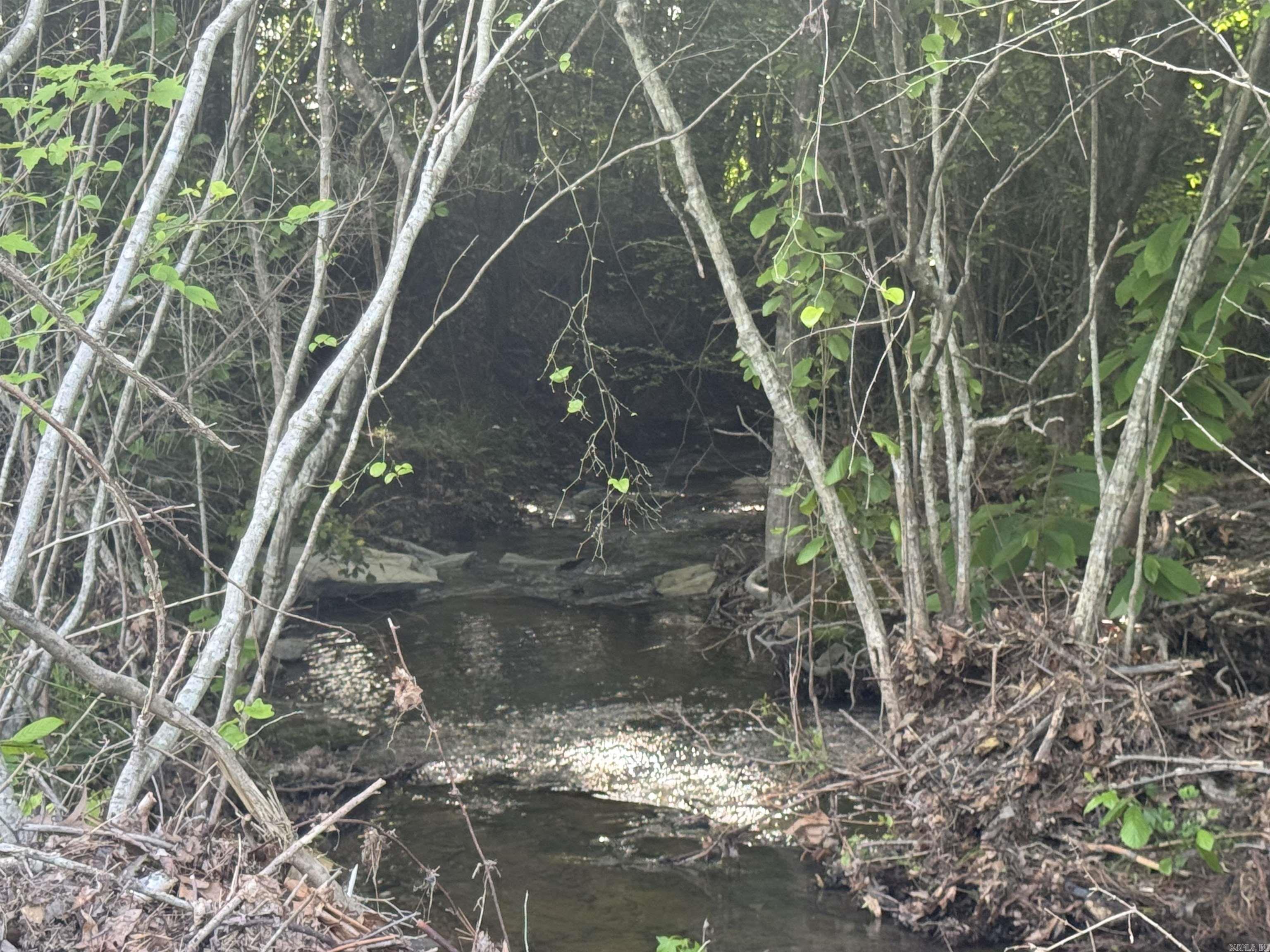 Tract 3  Jaymeson RD  Oden, AR
