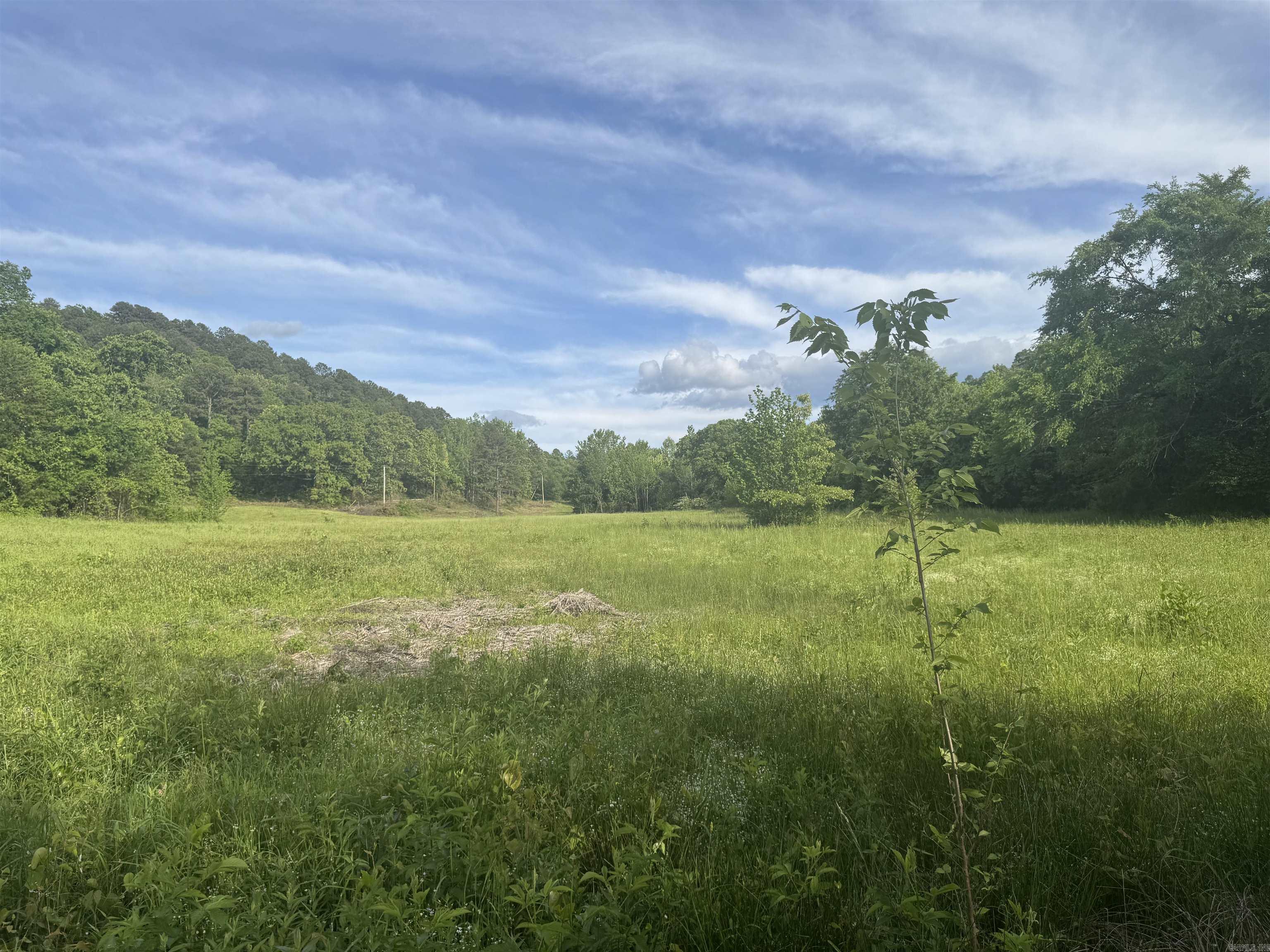 Tract 3  Jaymeson RD  Oden, AR