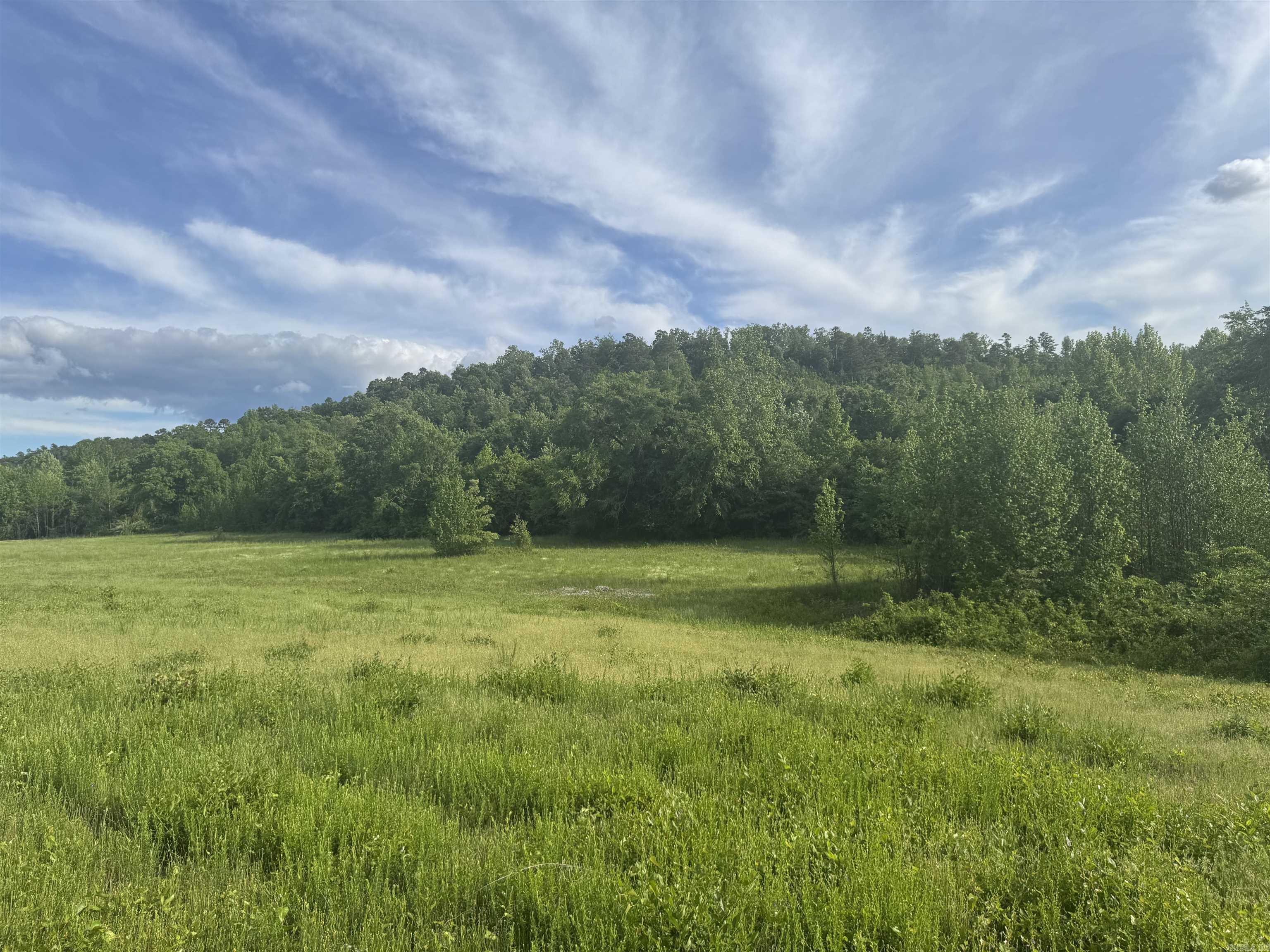 Tract 3  Jaymeson RD  Oden, AR