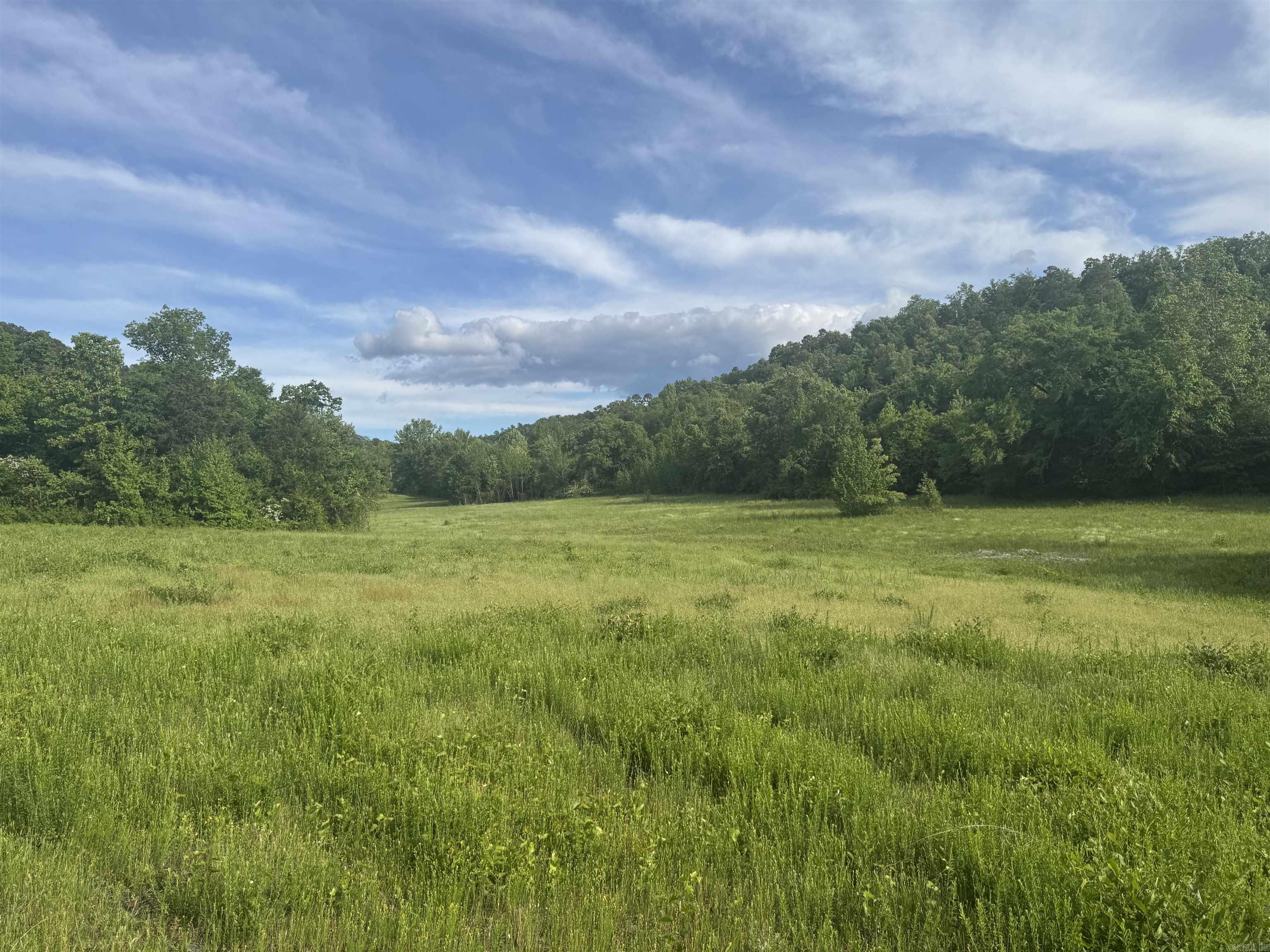 Tract 3  Jaymeson RD  Oden, AR