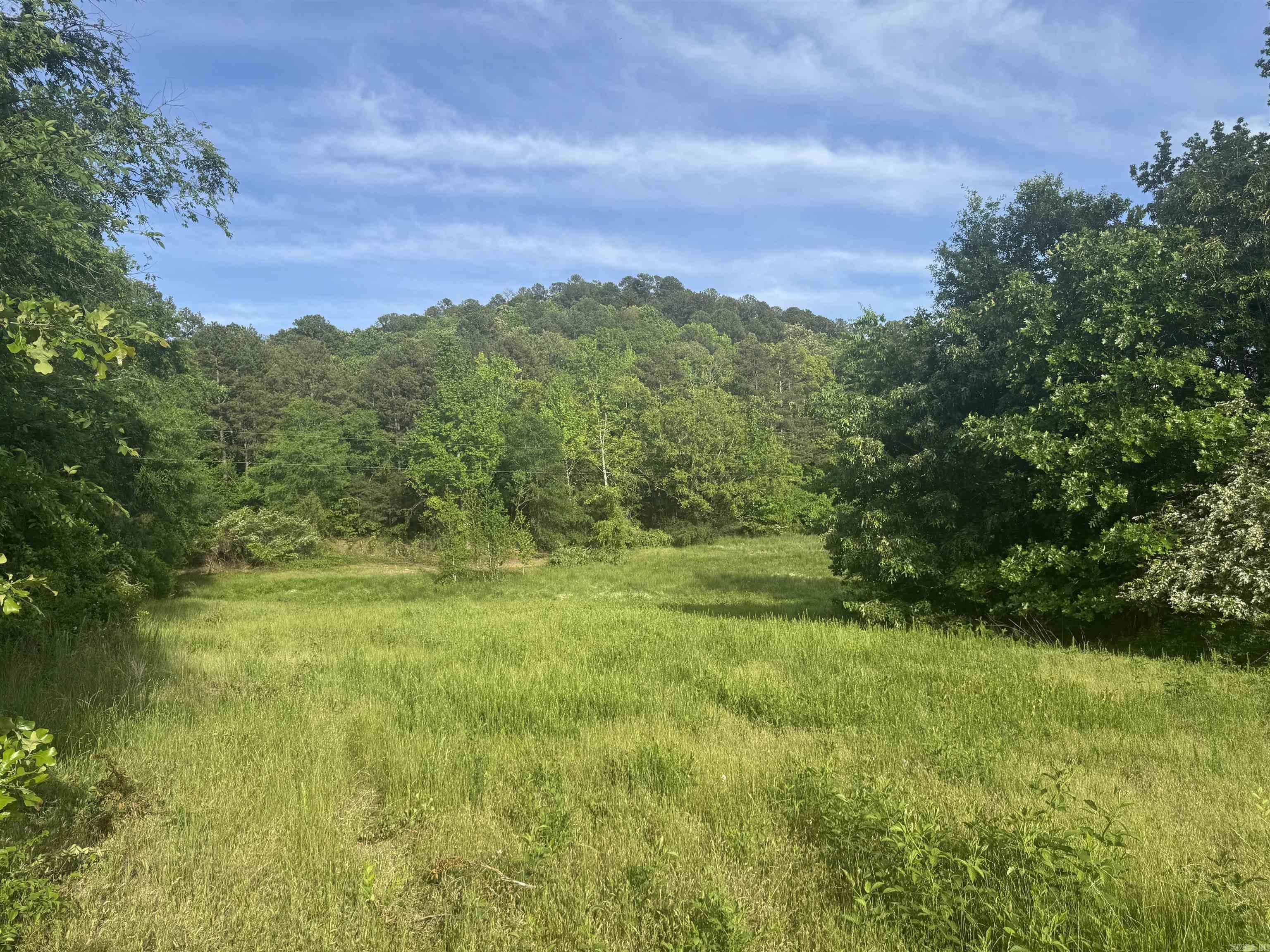 Tract 3  Jaymeson RD  Oden, AR