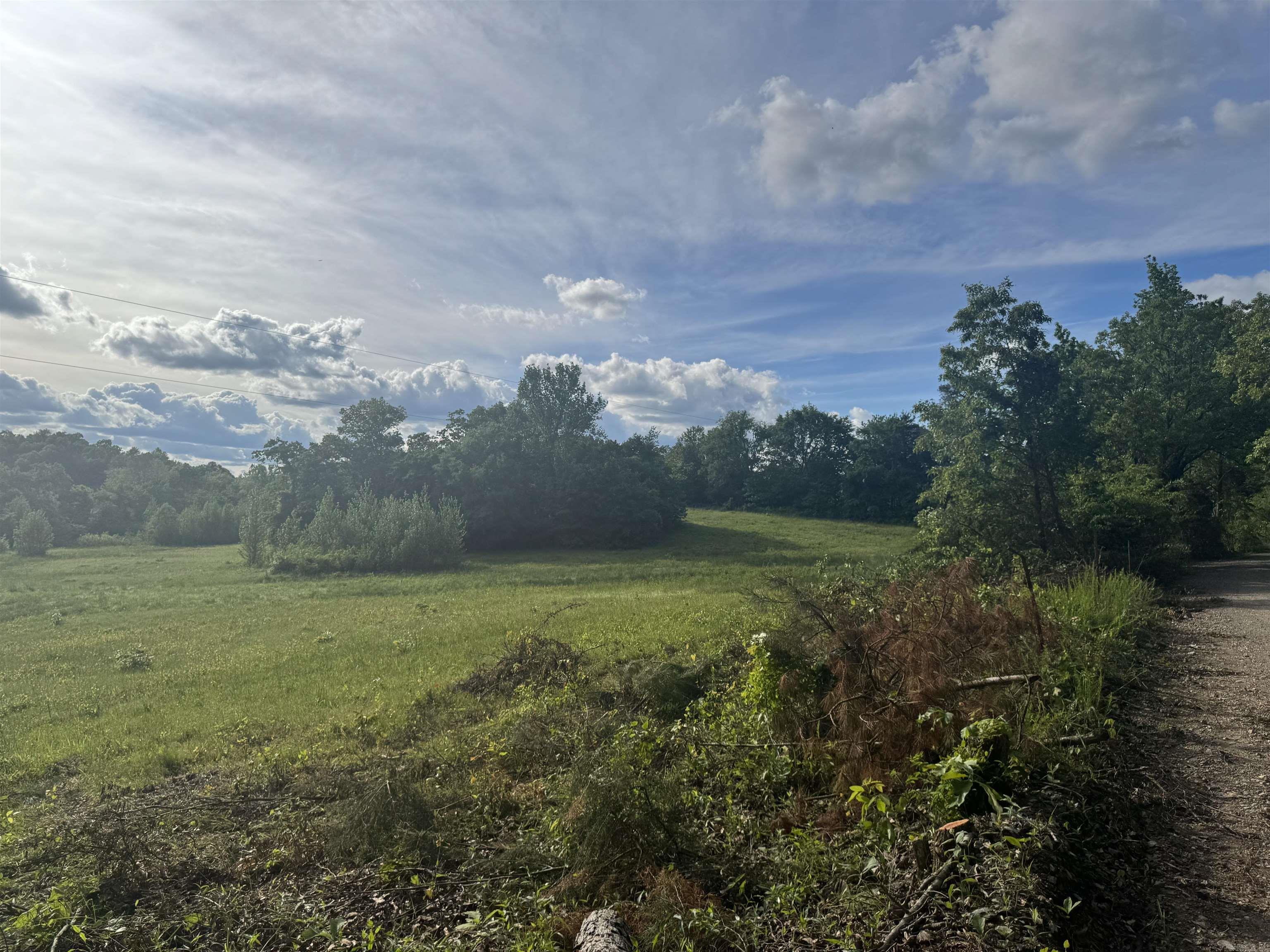Tract 3  Jaymeson RD  Oden, AR