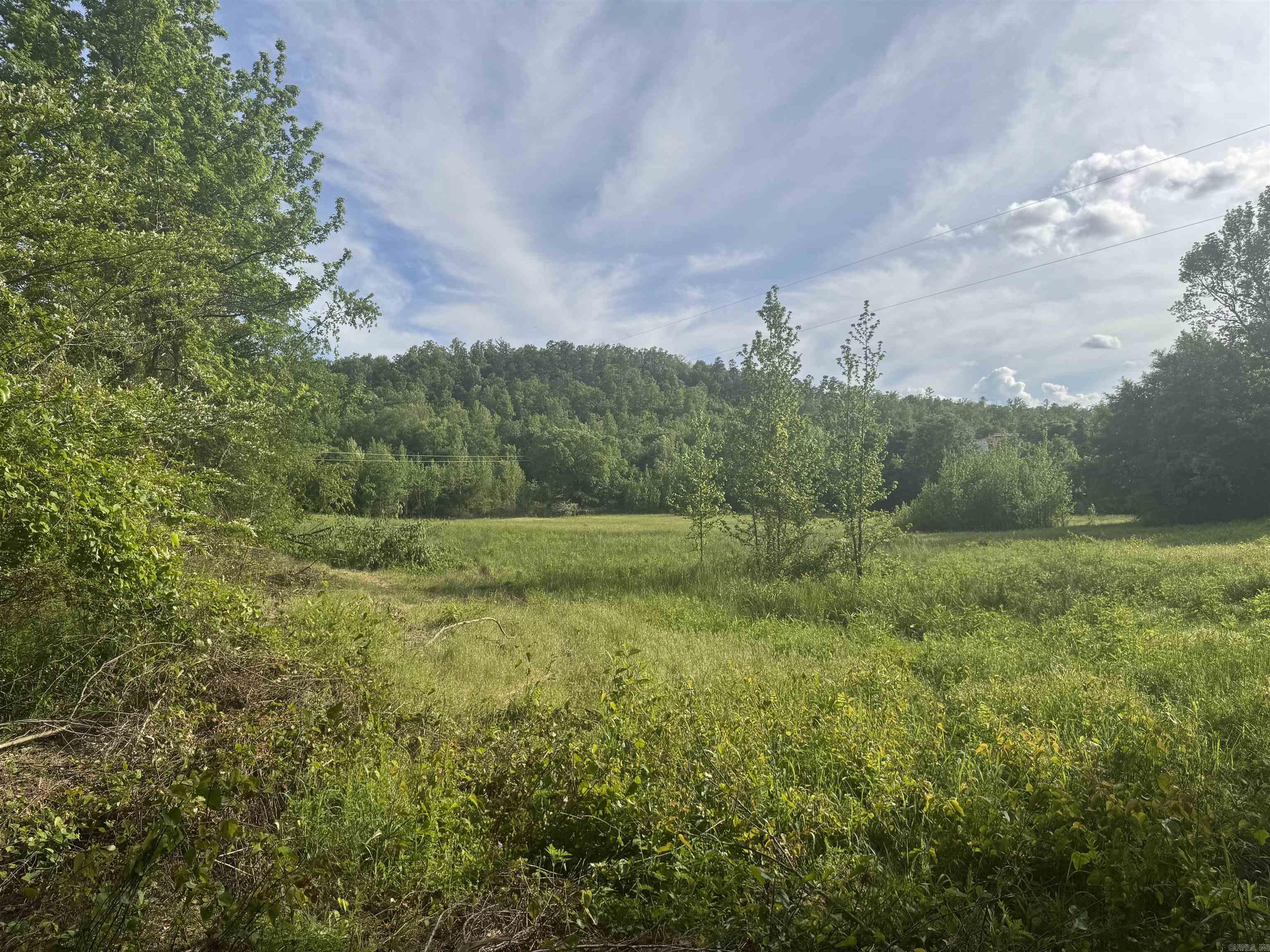 Tract 3  Jaymeson RD  Oden, AR