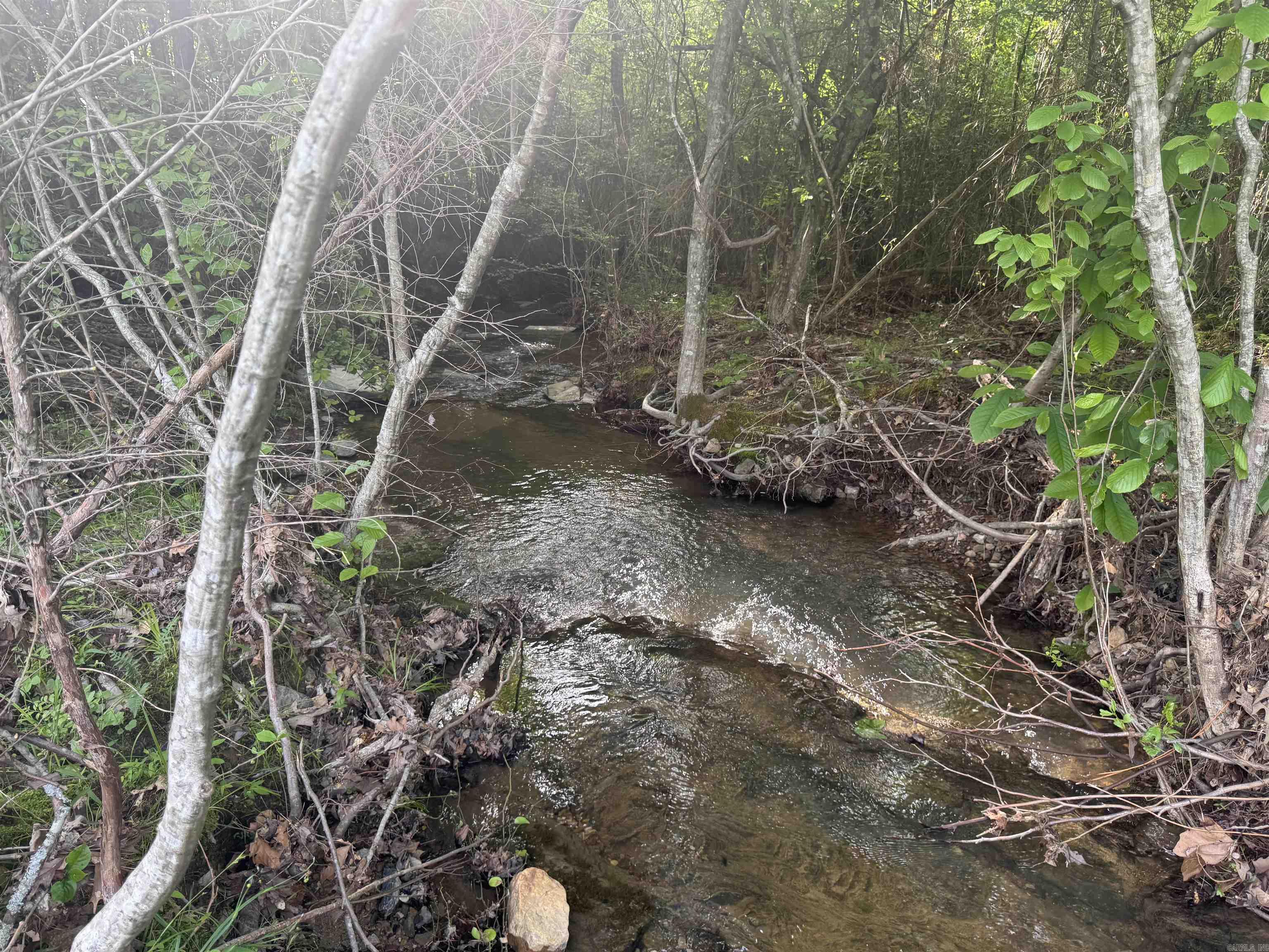 Tract 3  Jaymeson RD  Oden, AR