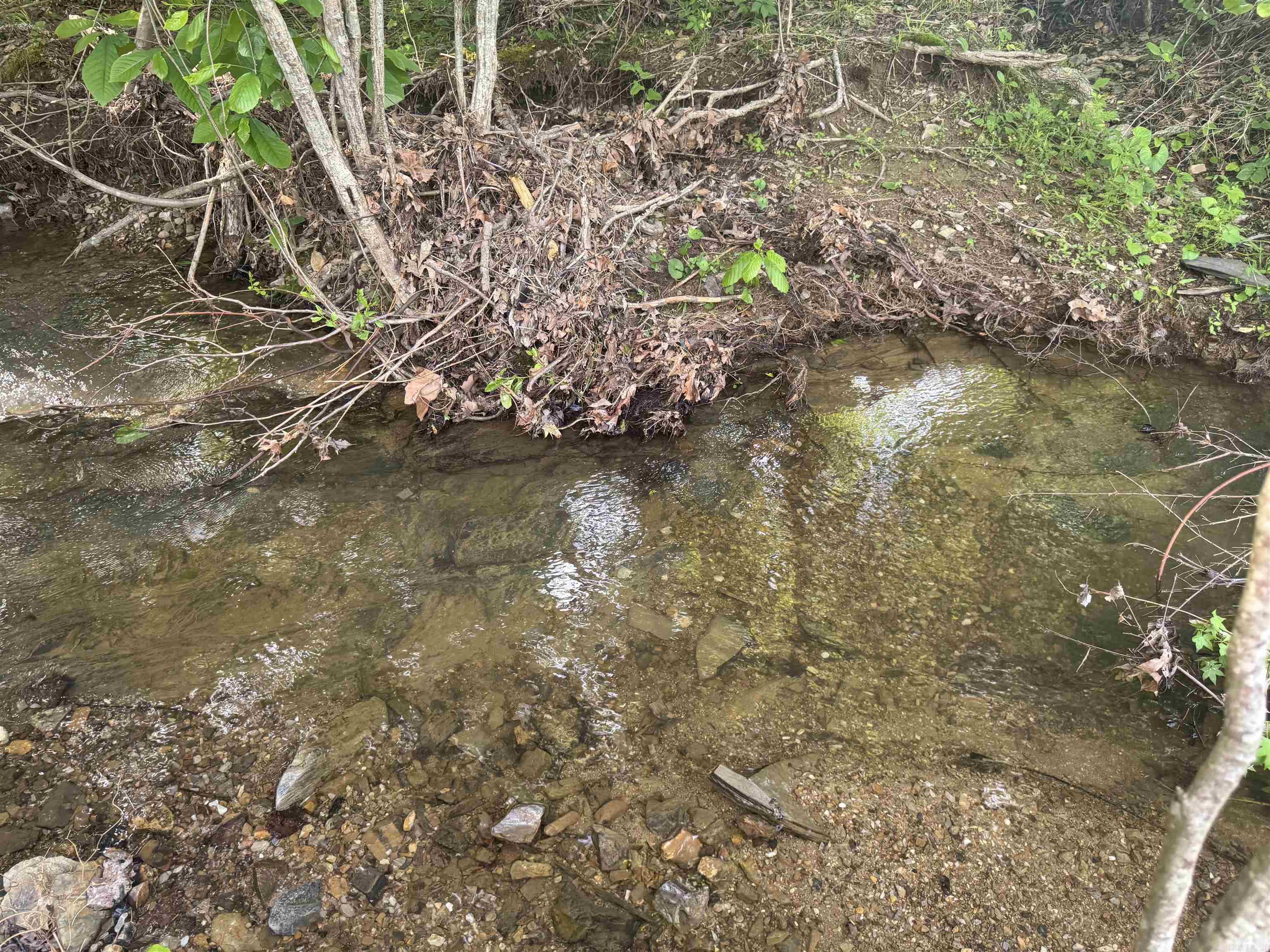 Tract 3  Jaymeson RD  Oden, AR