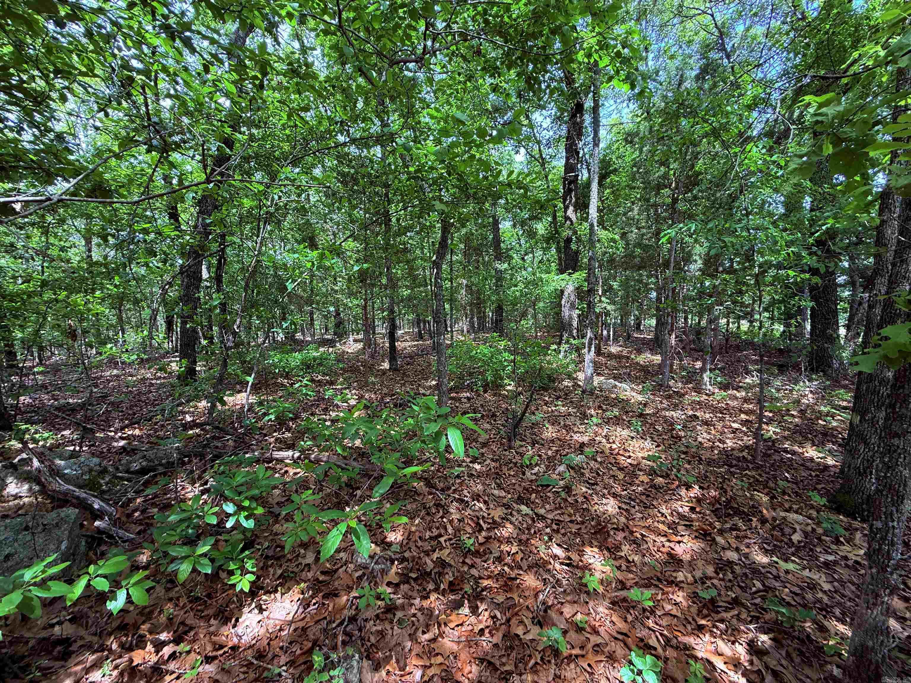 11A  Hwy 177 S  Calico Rock, AR