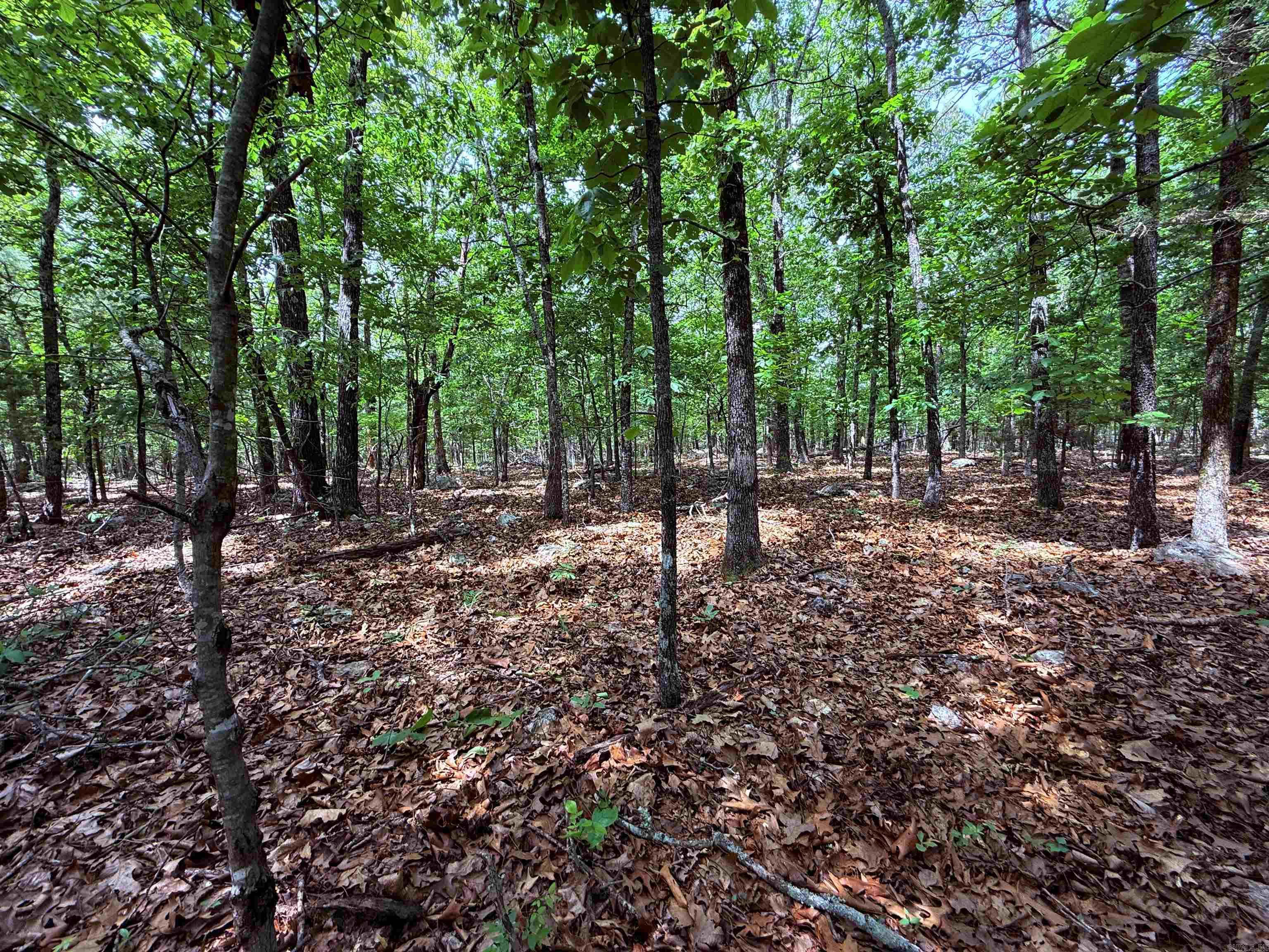 11A  Hwy 177 S  Calico Rock, AR