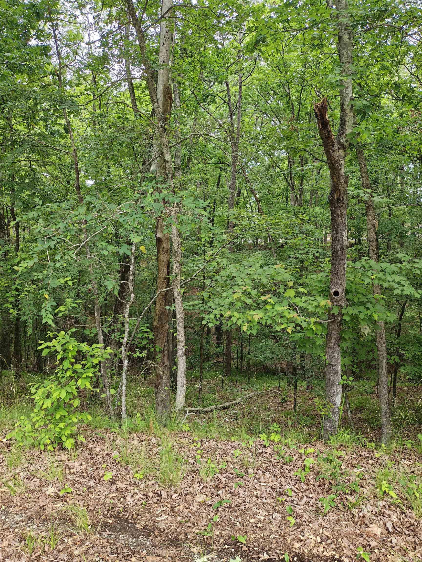 789  Plum Hollow  Hot Springs, AR