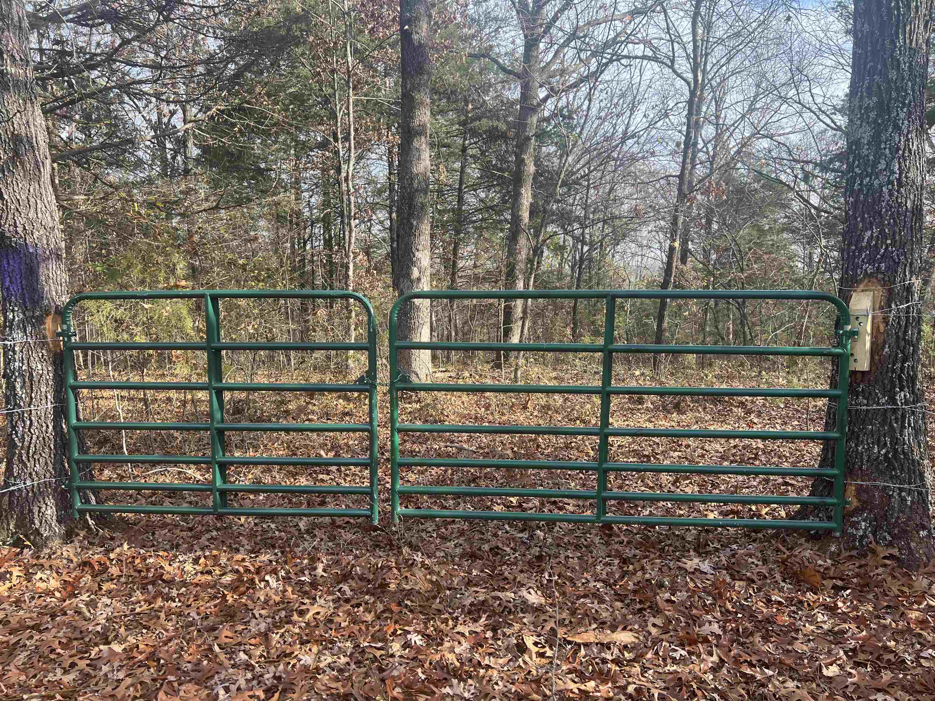   Fawn Ridge  Williford, AR
