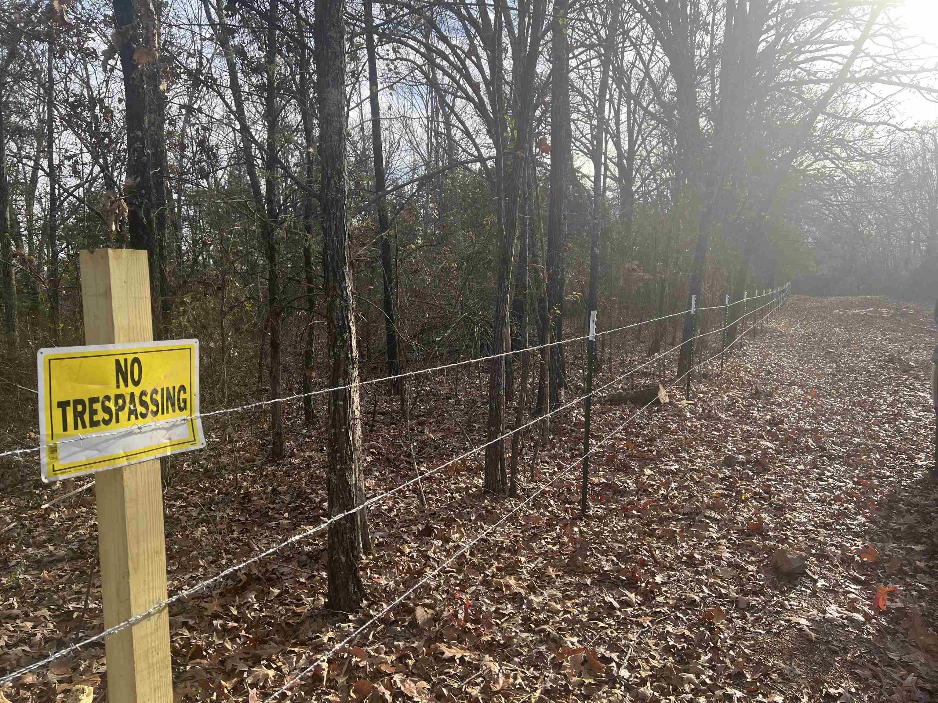   Fawn Ridge  Williford, AR