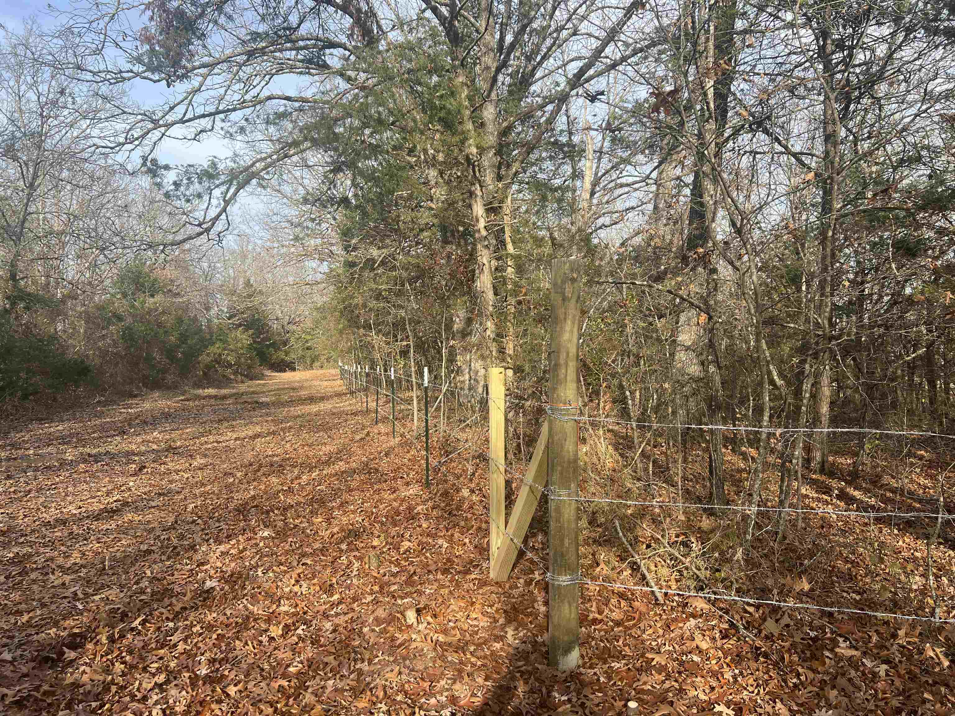   Fawn Ridge  Williford, AR