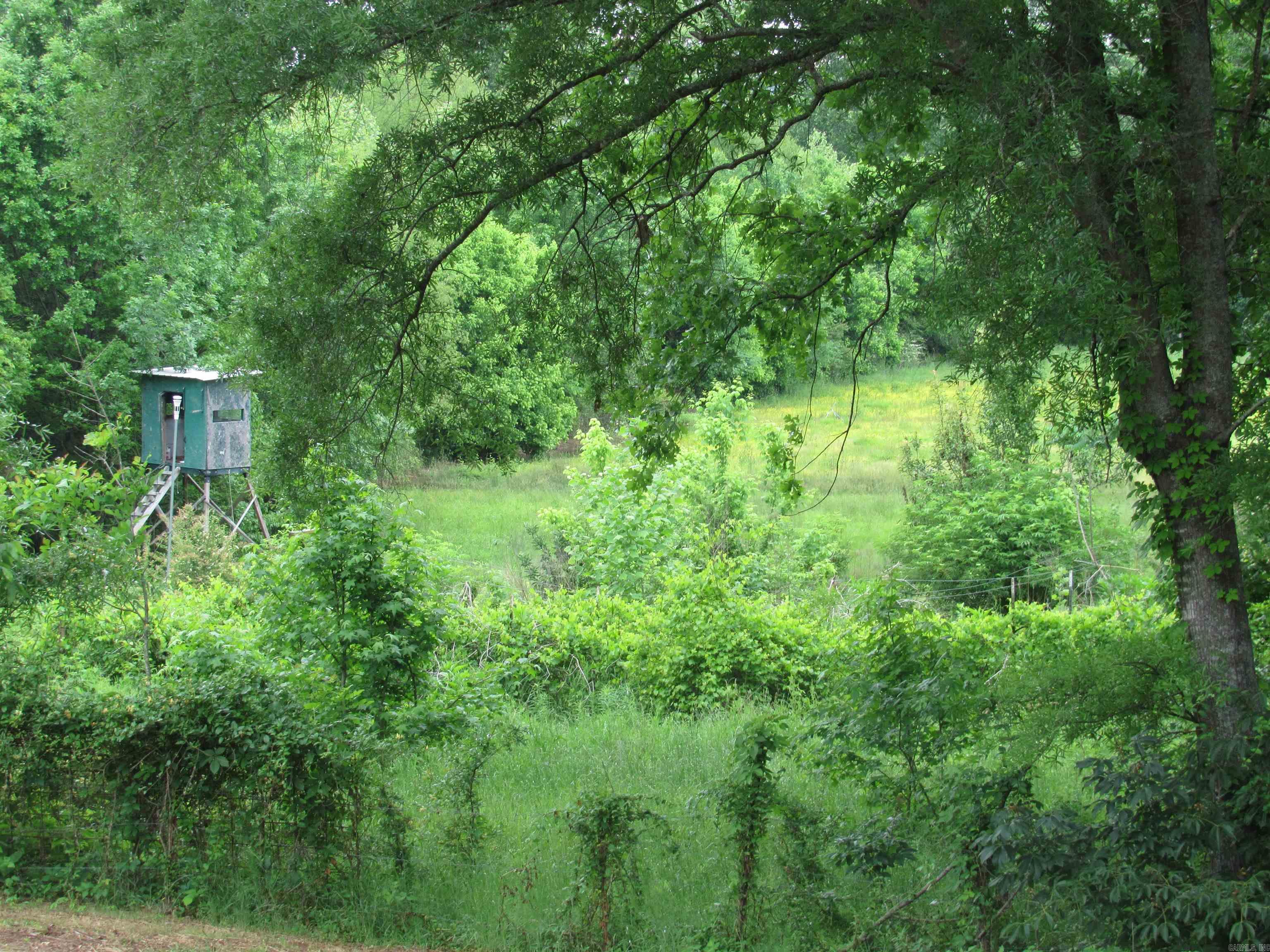 36  Ryan Drive  Greenbrier, AR