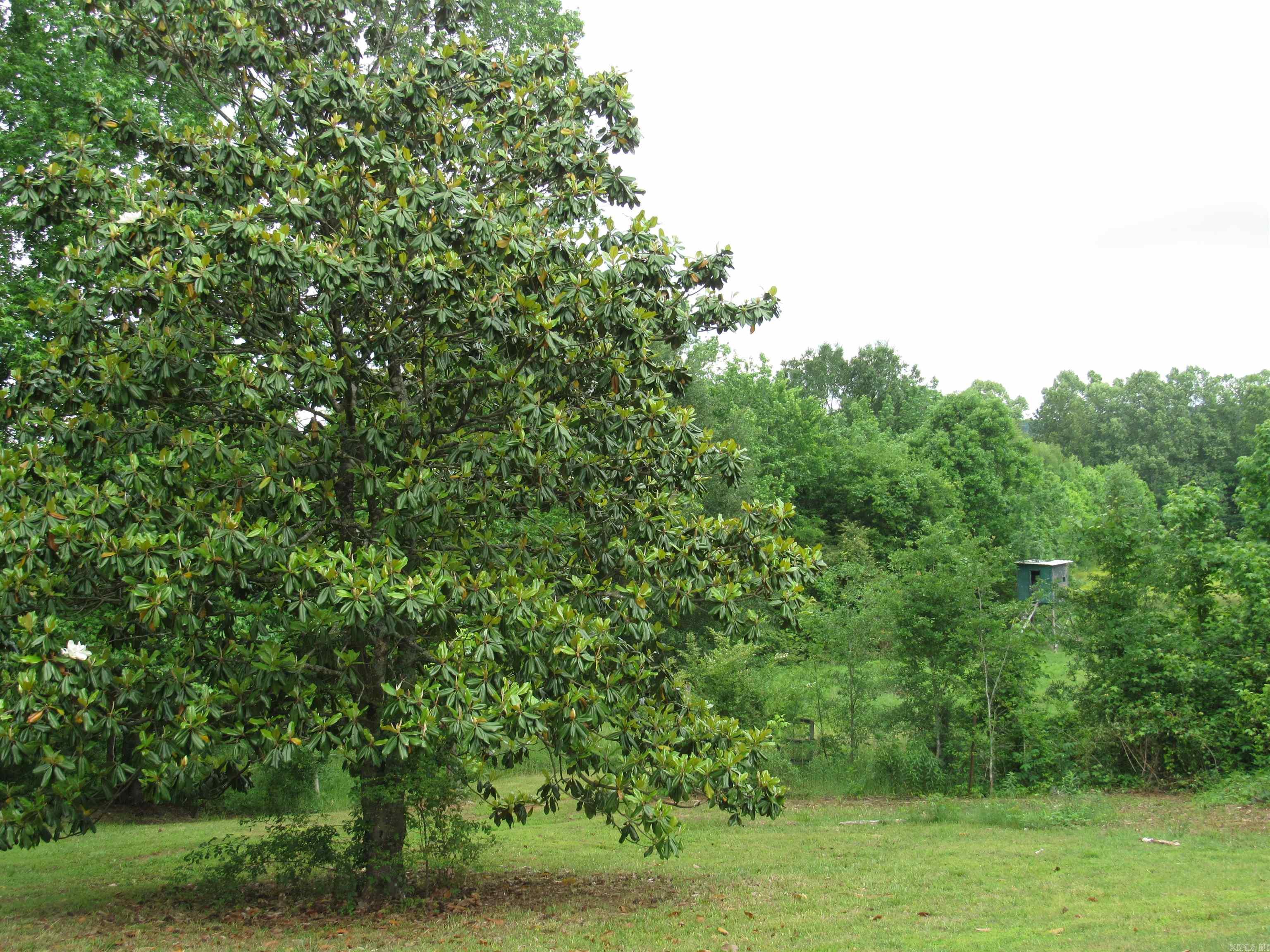 36  Ryan Drive  Greenbrier, AR