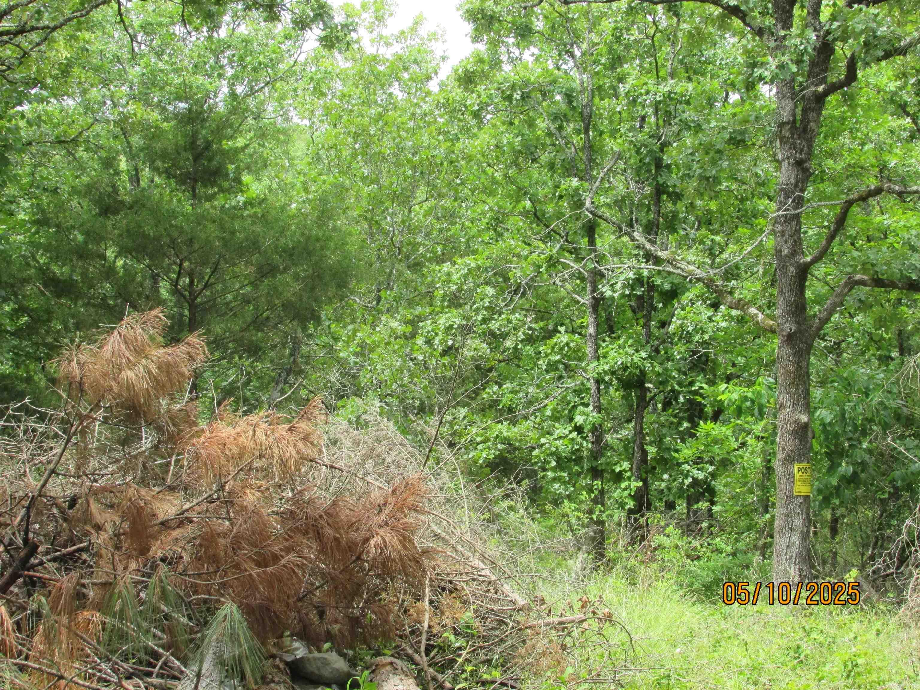 0  Larkspur/McGill Rd  Cabot, AR