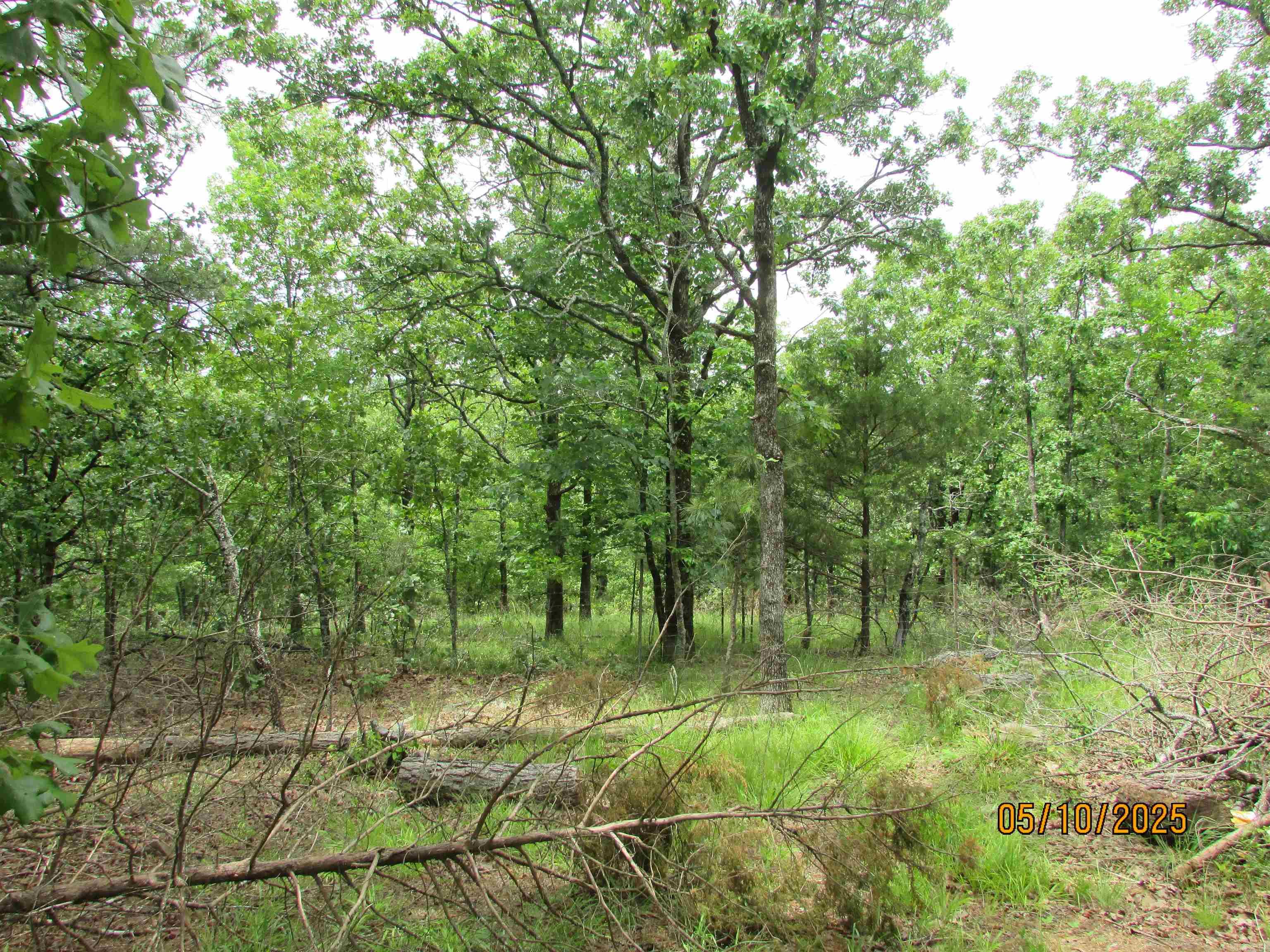 0  Larkspur/McGill Rd  Cabot, AR