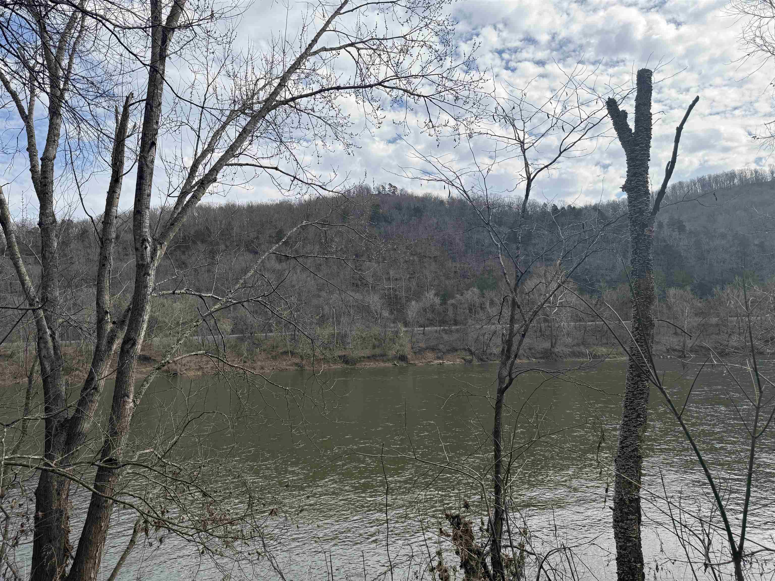 16  Allure Lane  Mountain View, AR