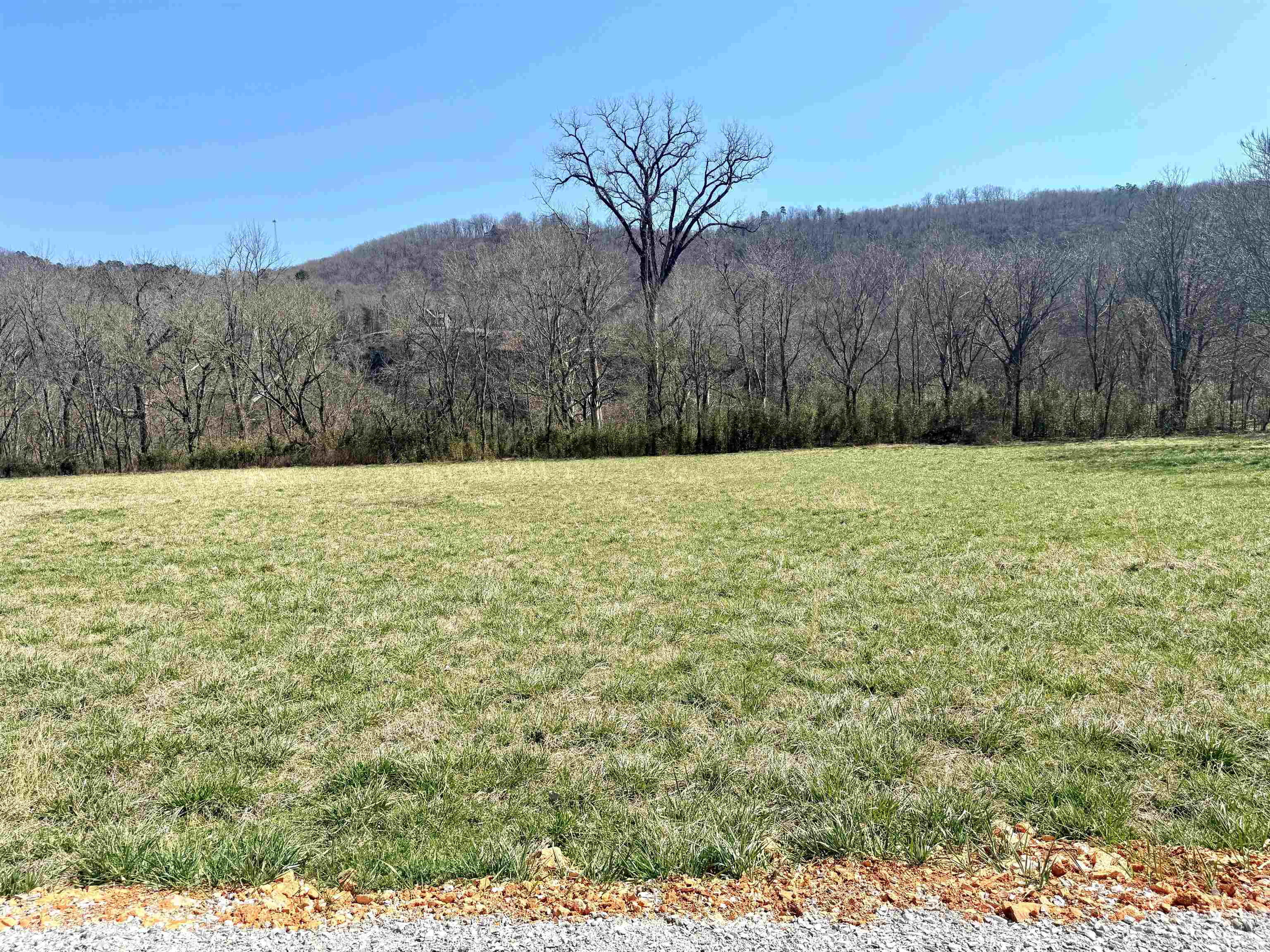16  Allure Lane  Mountain View, AR