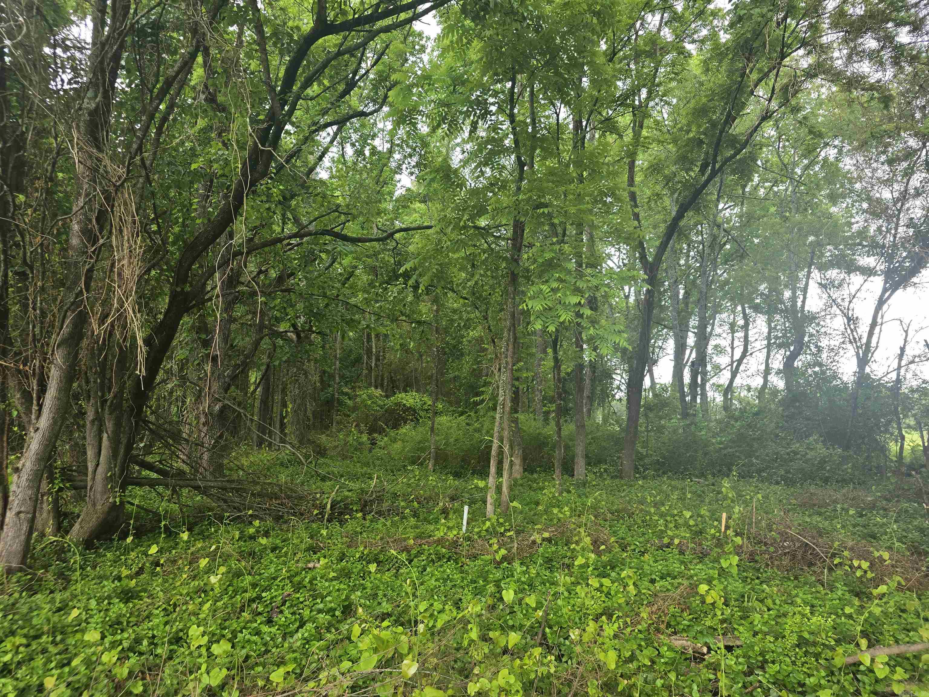 000 W Mississippi  Beebe, AR