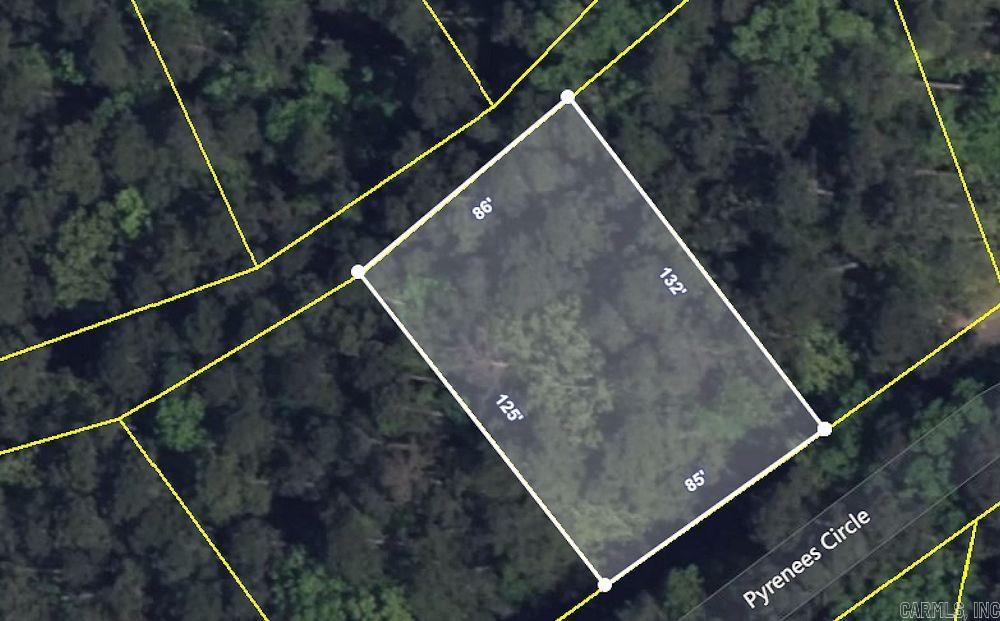 32  Pyrenees  Hot Springs Village, AR