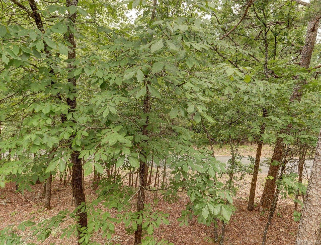 100 Quiet Court Hot Springs, AR 71913-0000