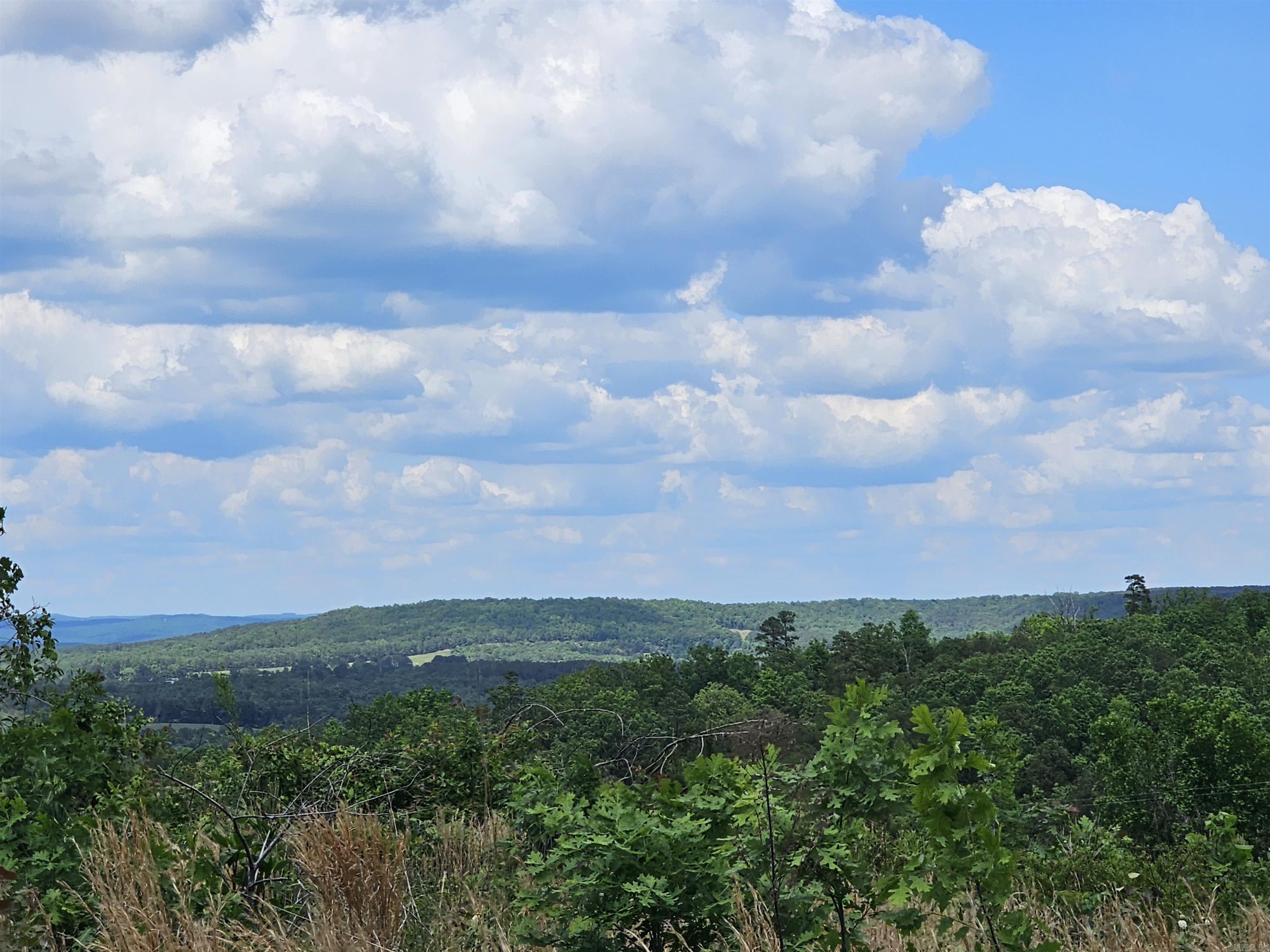 0  Newton Rd  Clinton, AR