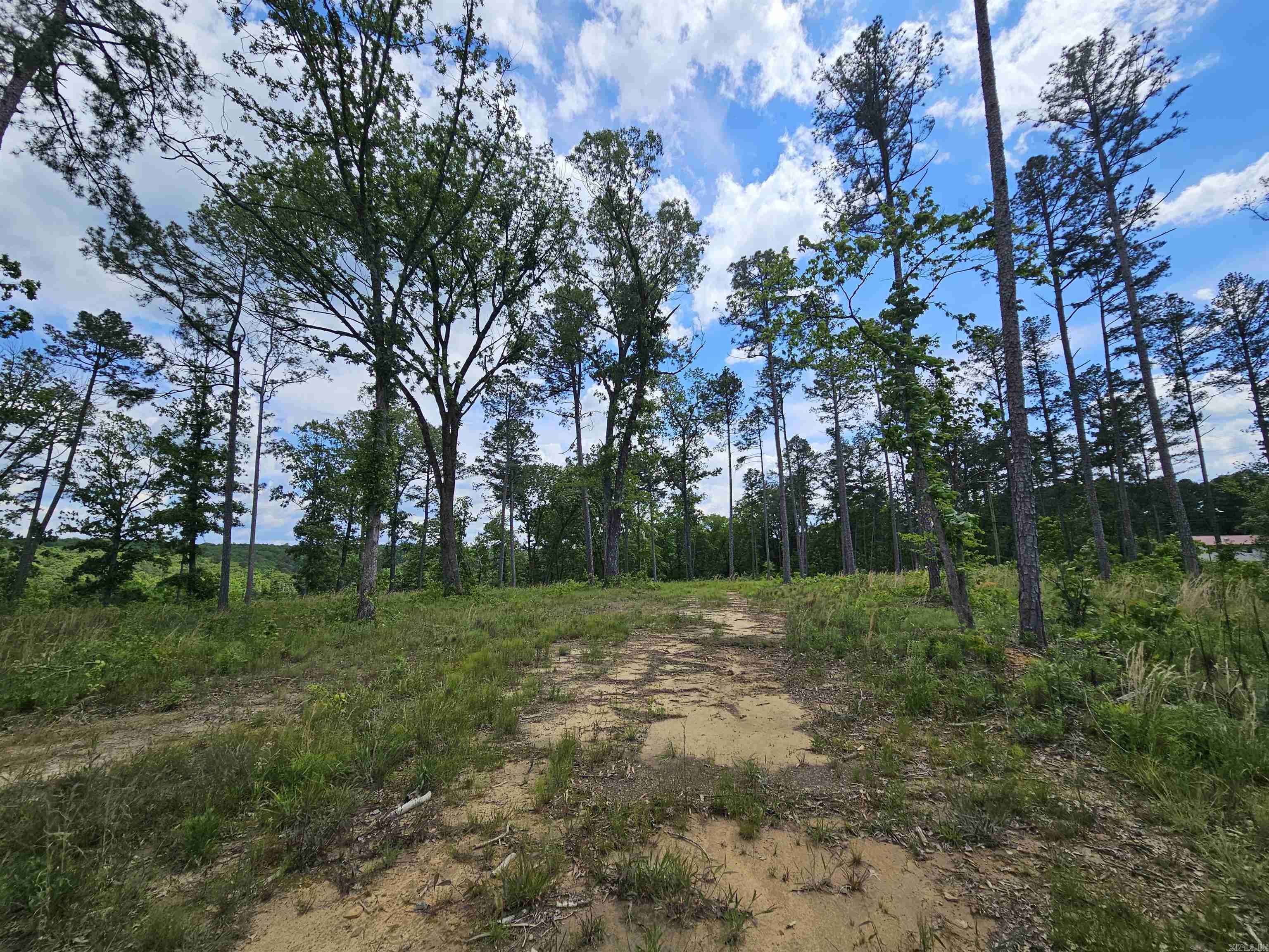 0  Newton Rd  Clinton, AR