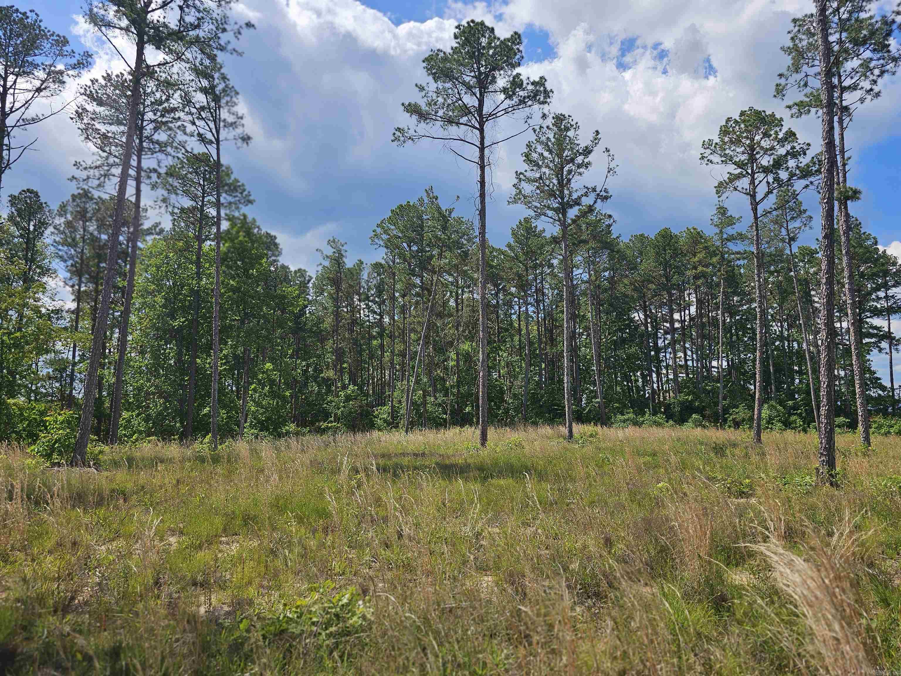 0  Newton Rd  Clinton, AR