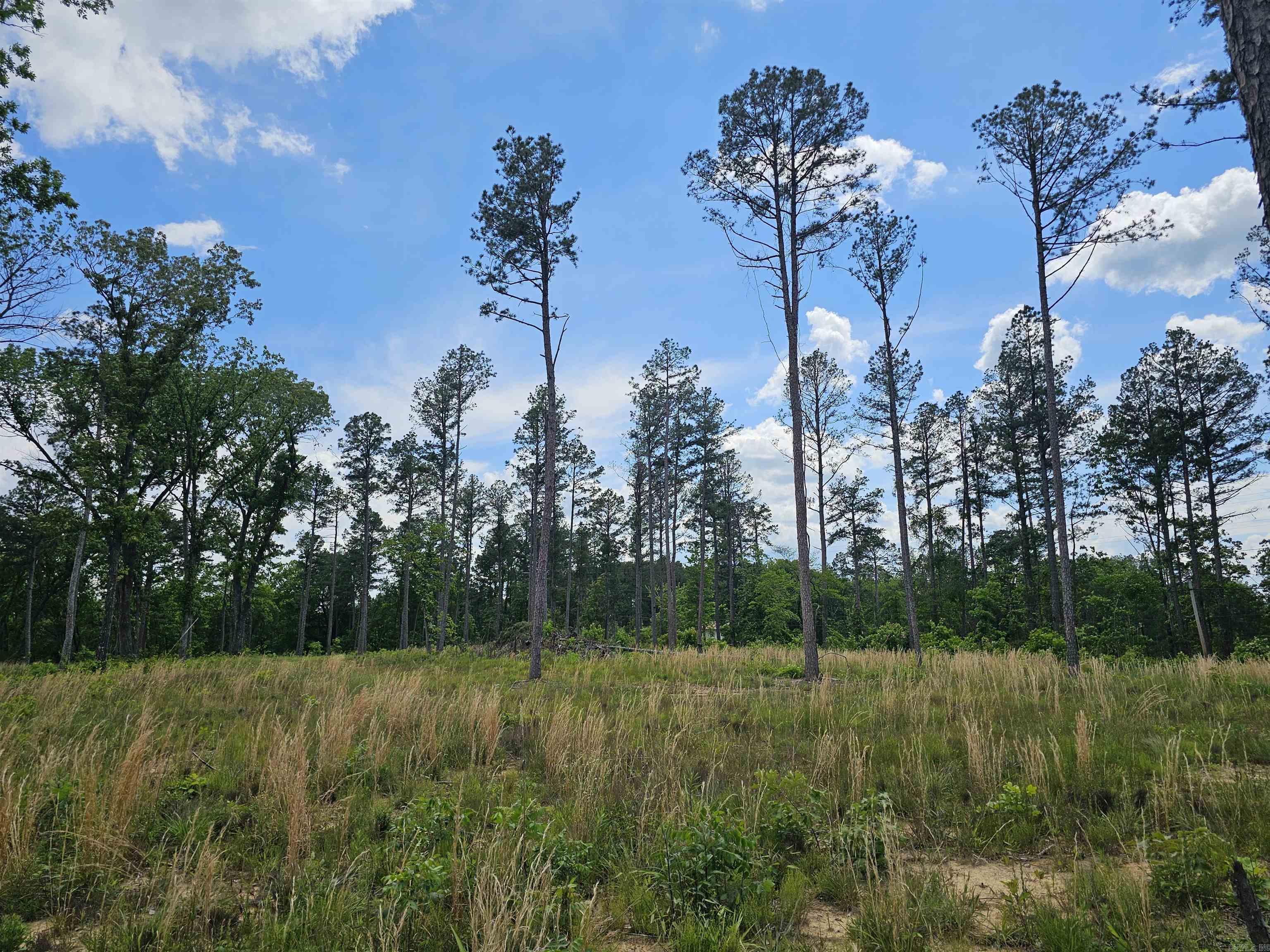 0  Newton Rd  Clinton, AR